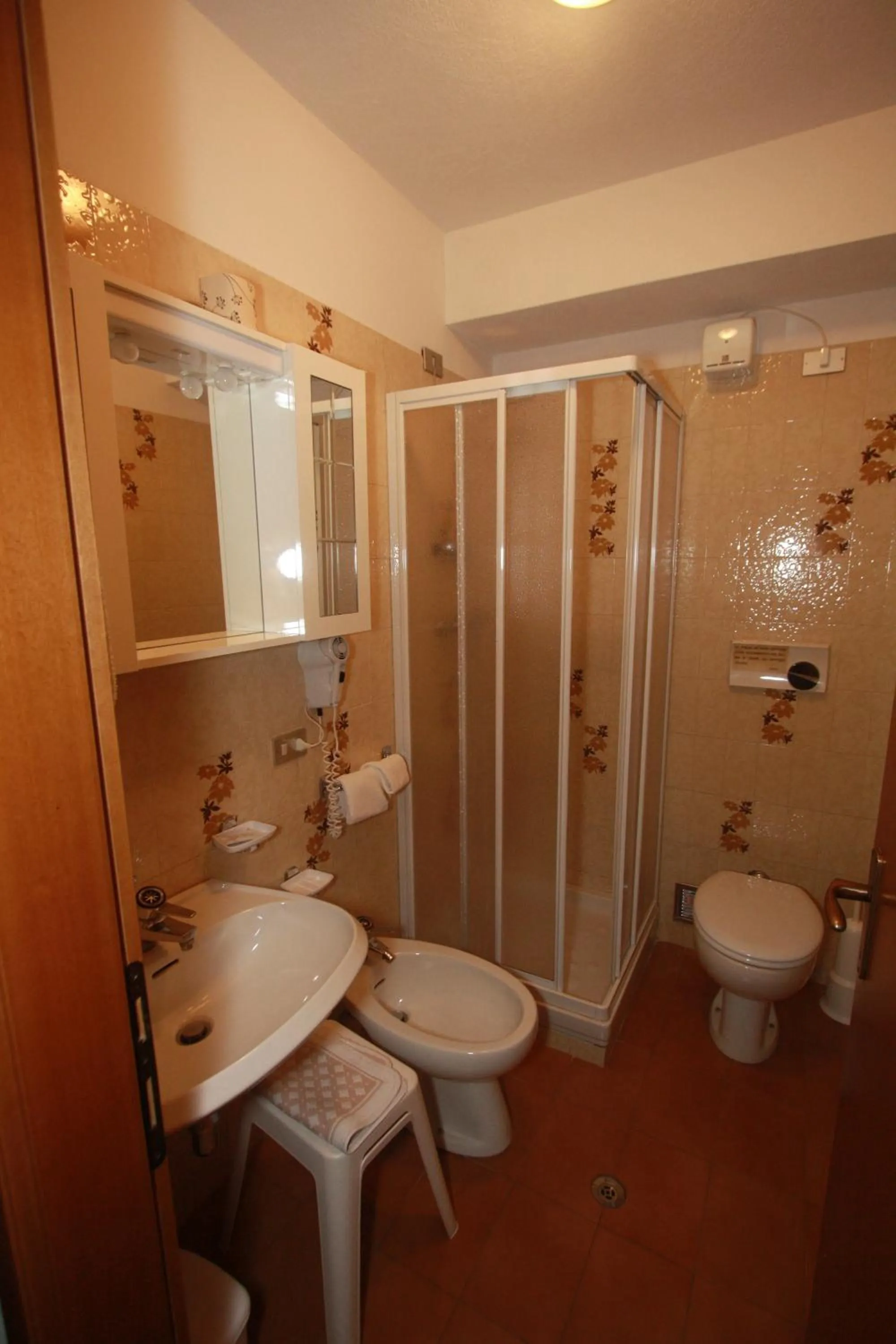 Toilet in Hotel Miramonti