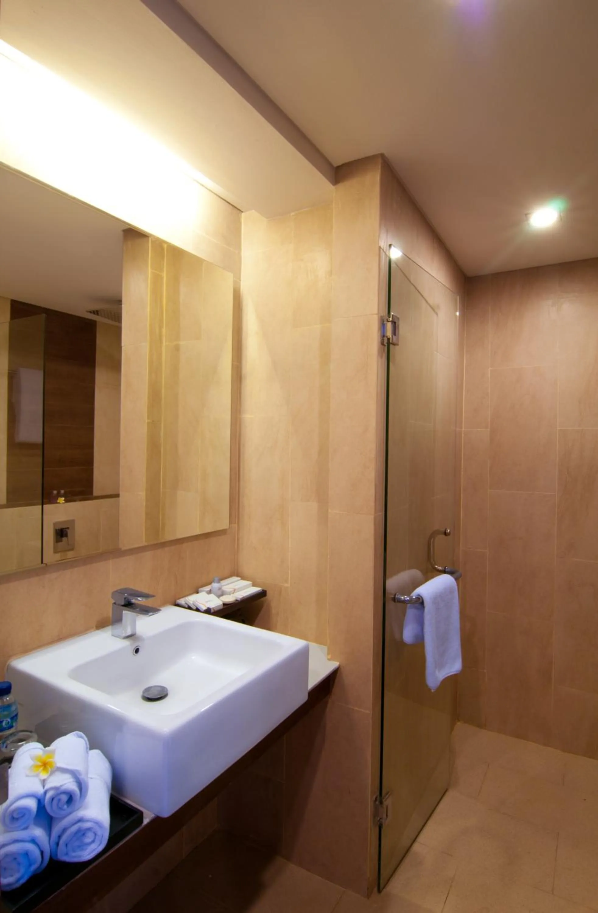 Shower in d'primahotel Seminyak