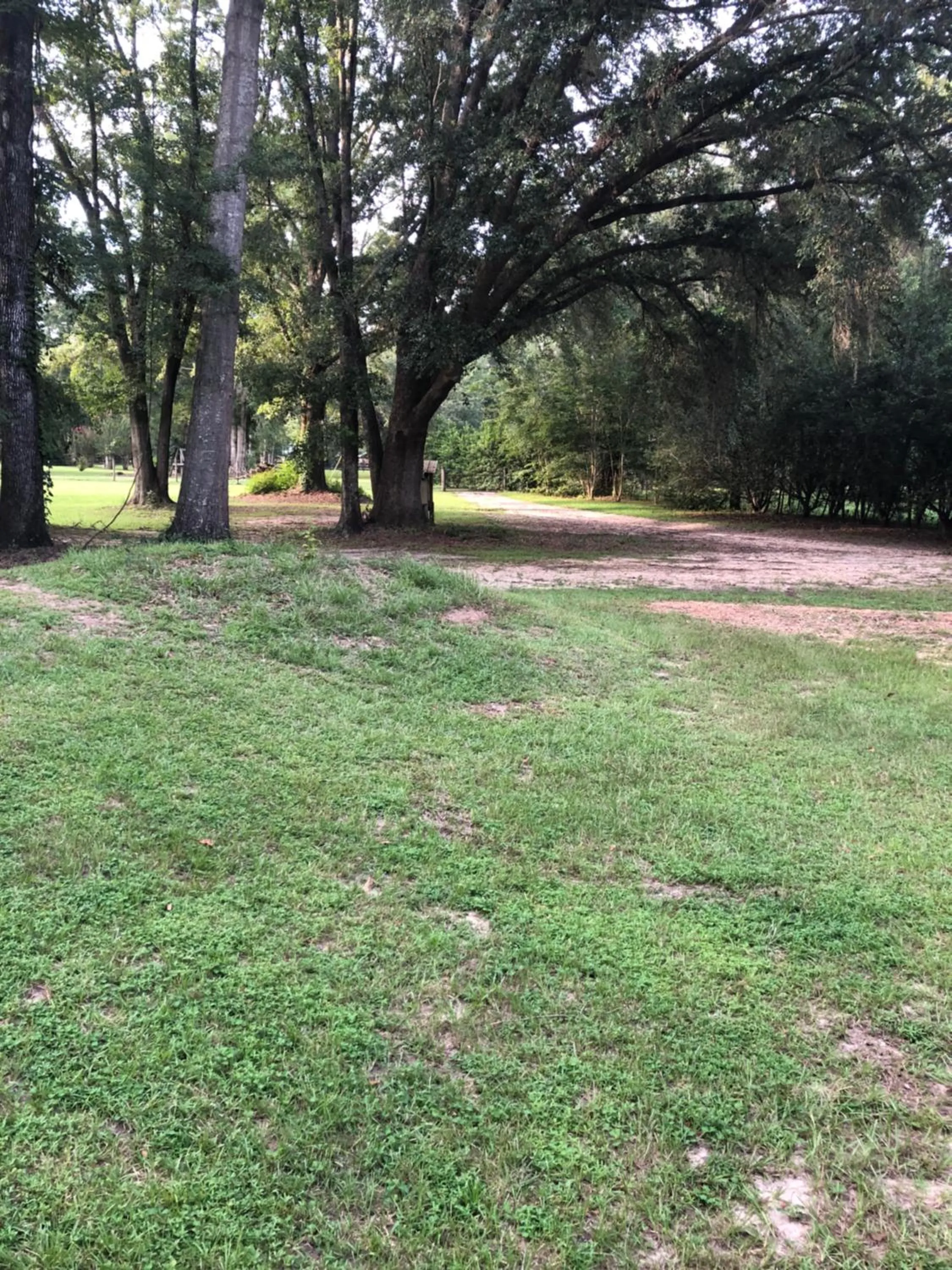 View (from property/room) in The Barn