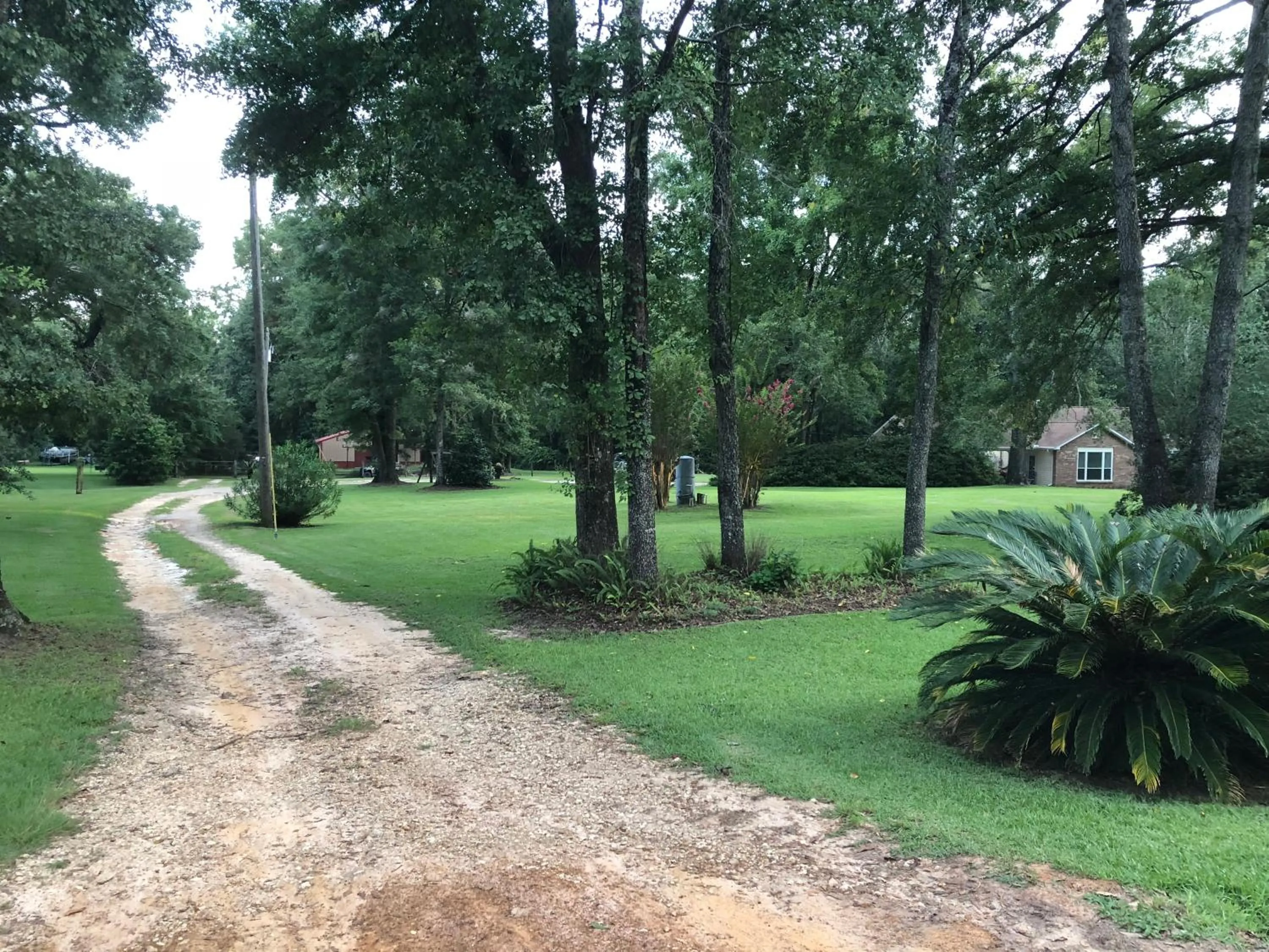Street view in The Barn