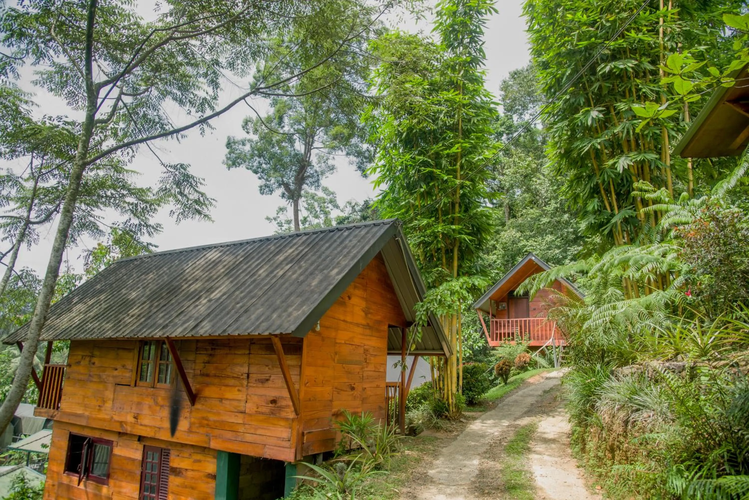 Sinharaja Forest Gate