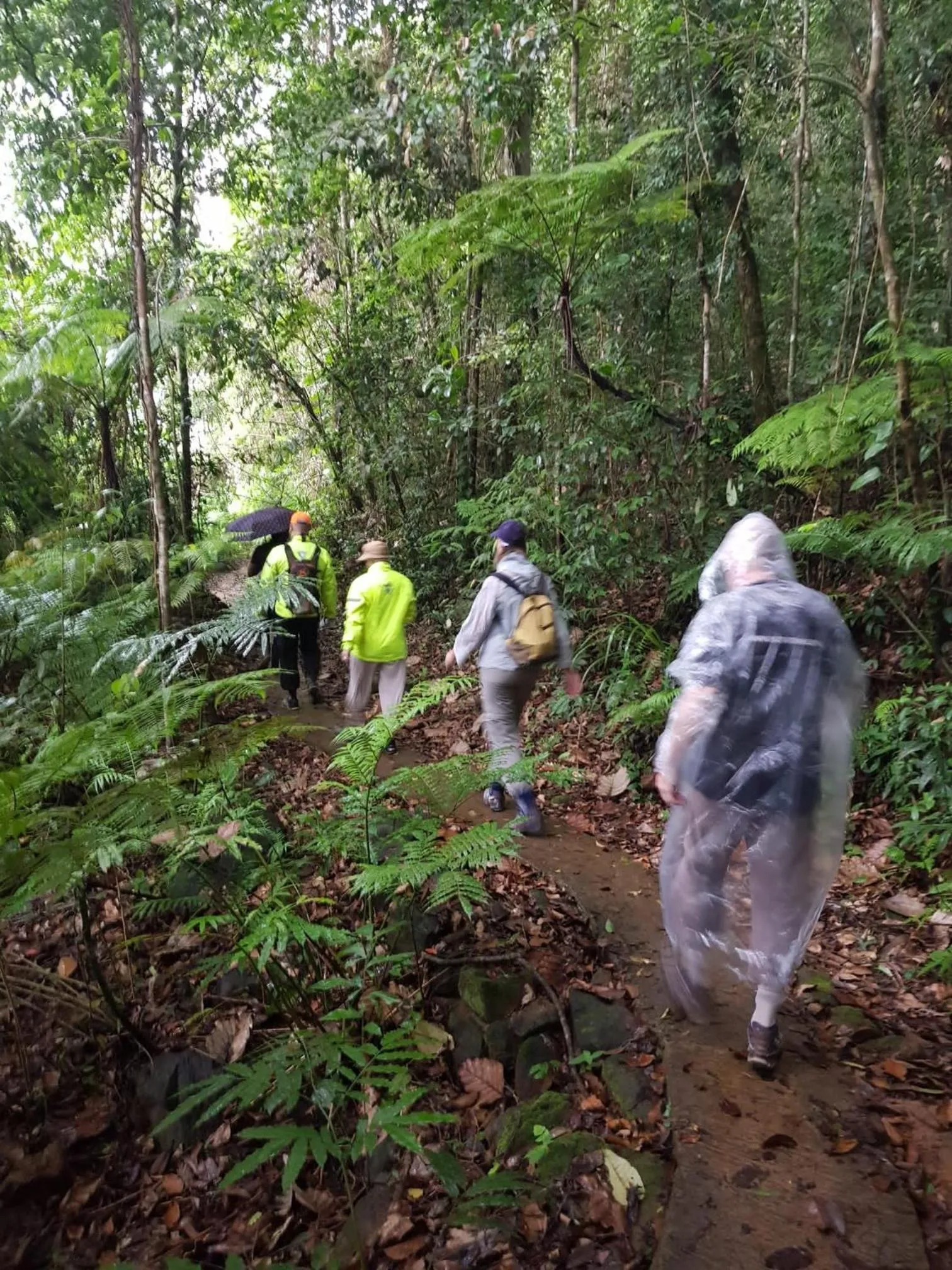 People in Sinharaja Forest Gate