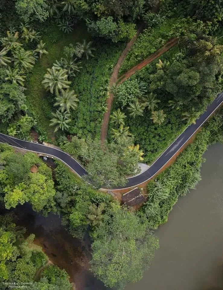 Sinharaja Forest Gate