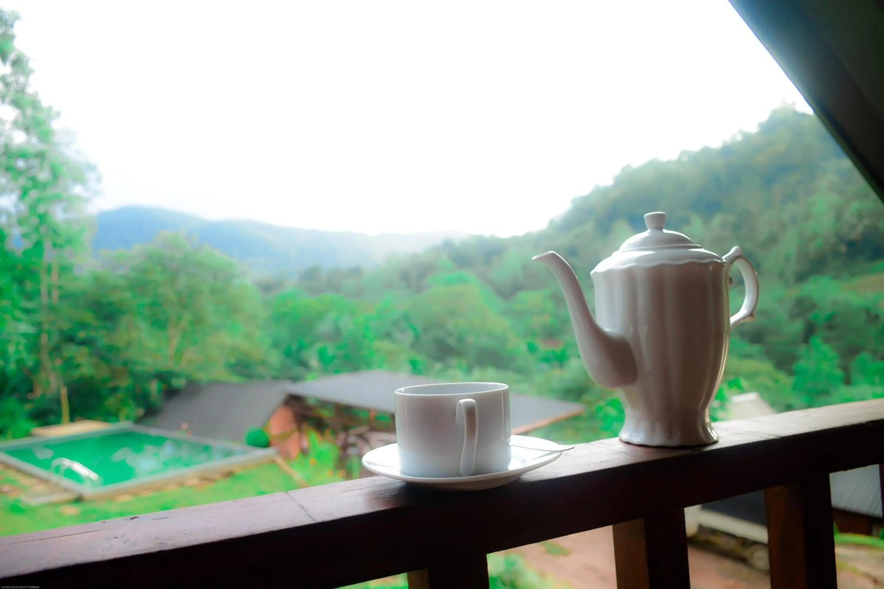 Sinharaja Forest Gate