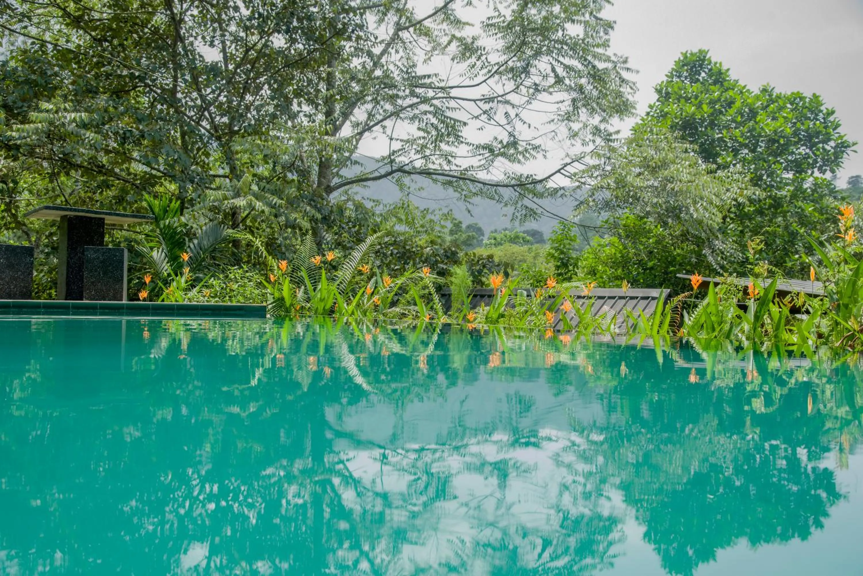 Swimming pool in Sinharaja Forest Gate