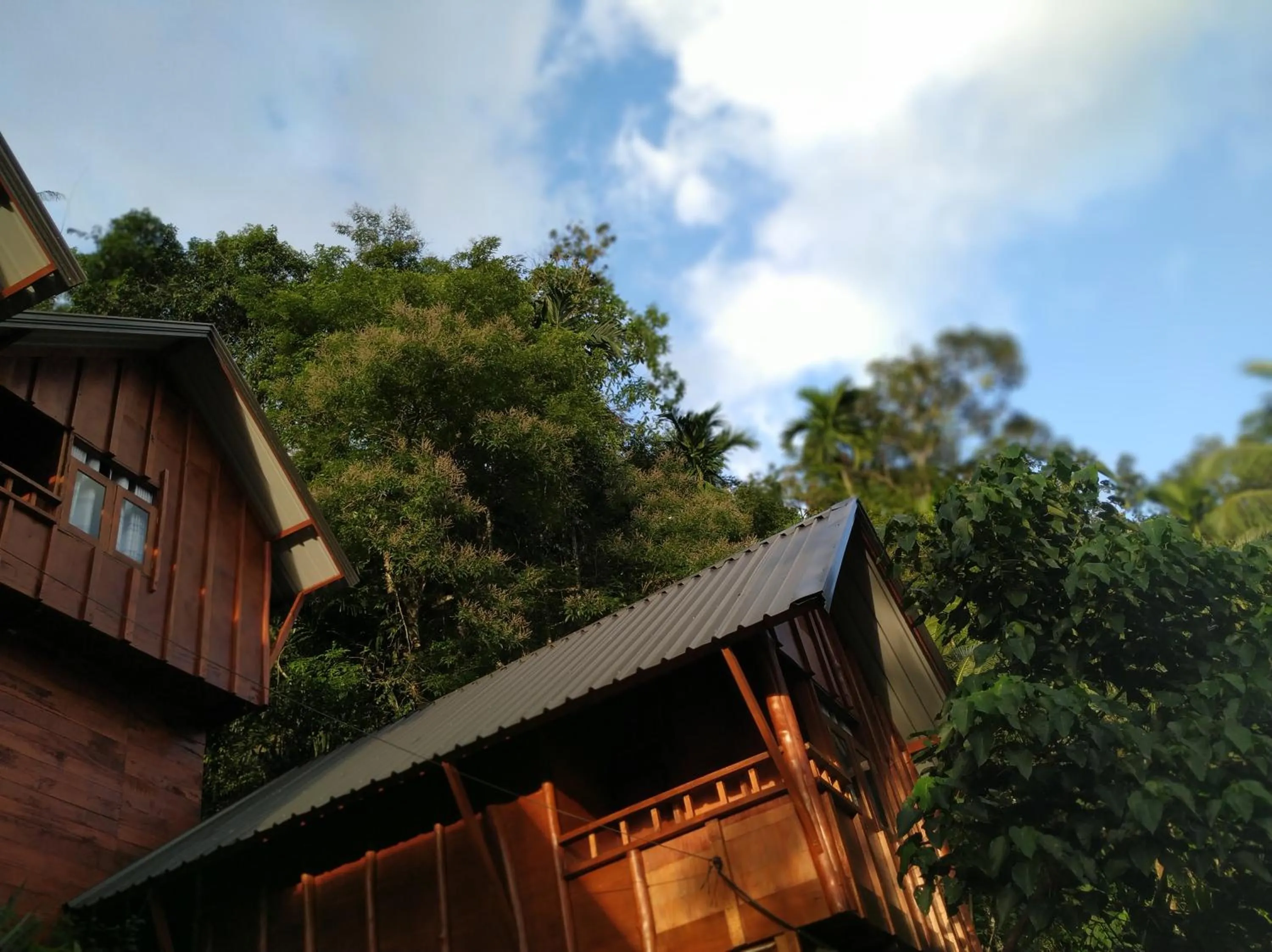 Sinharaja Forest Gate