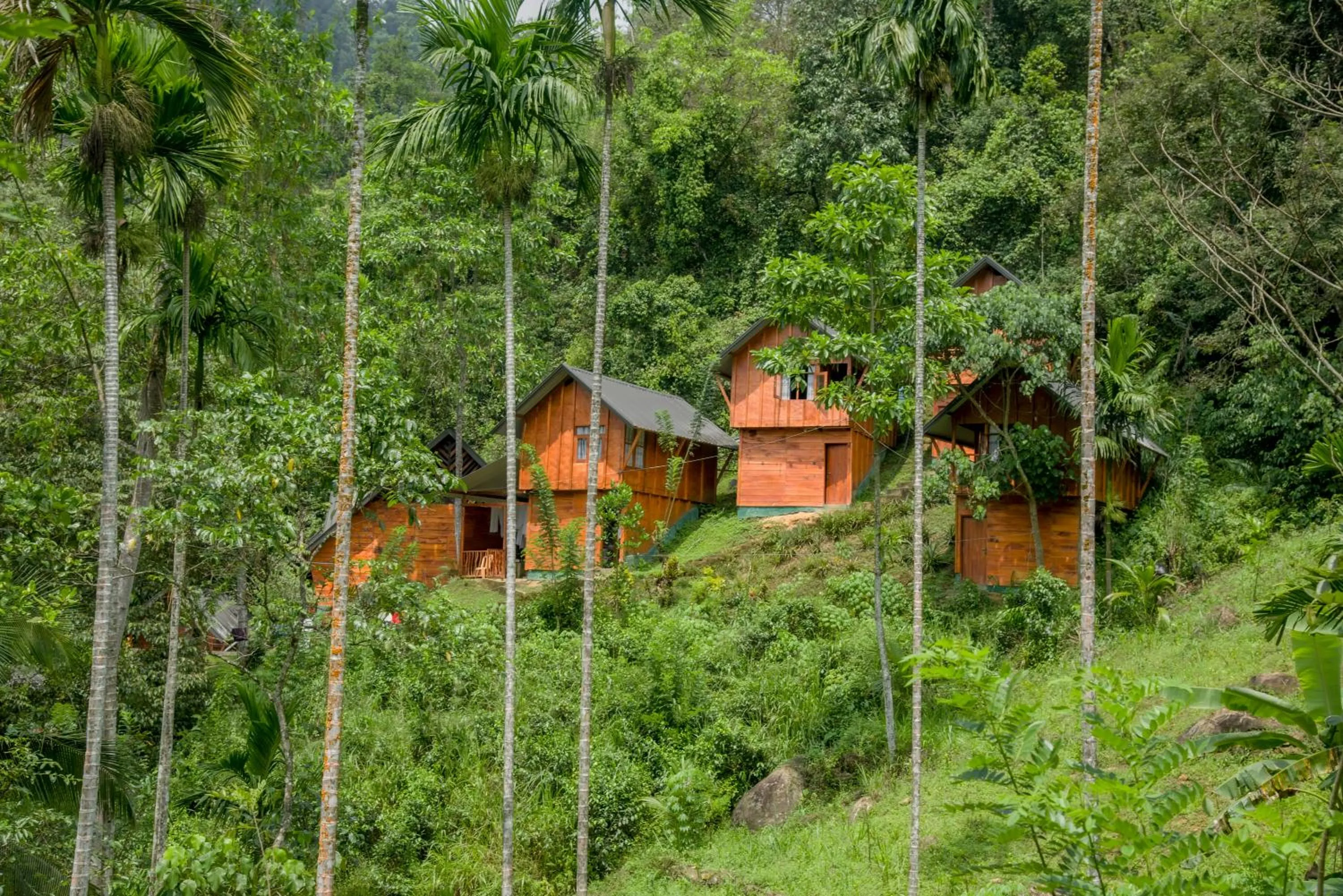 Property building in Sinharaja Forest Gate