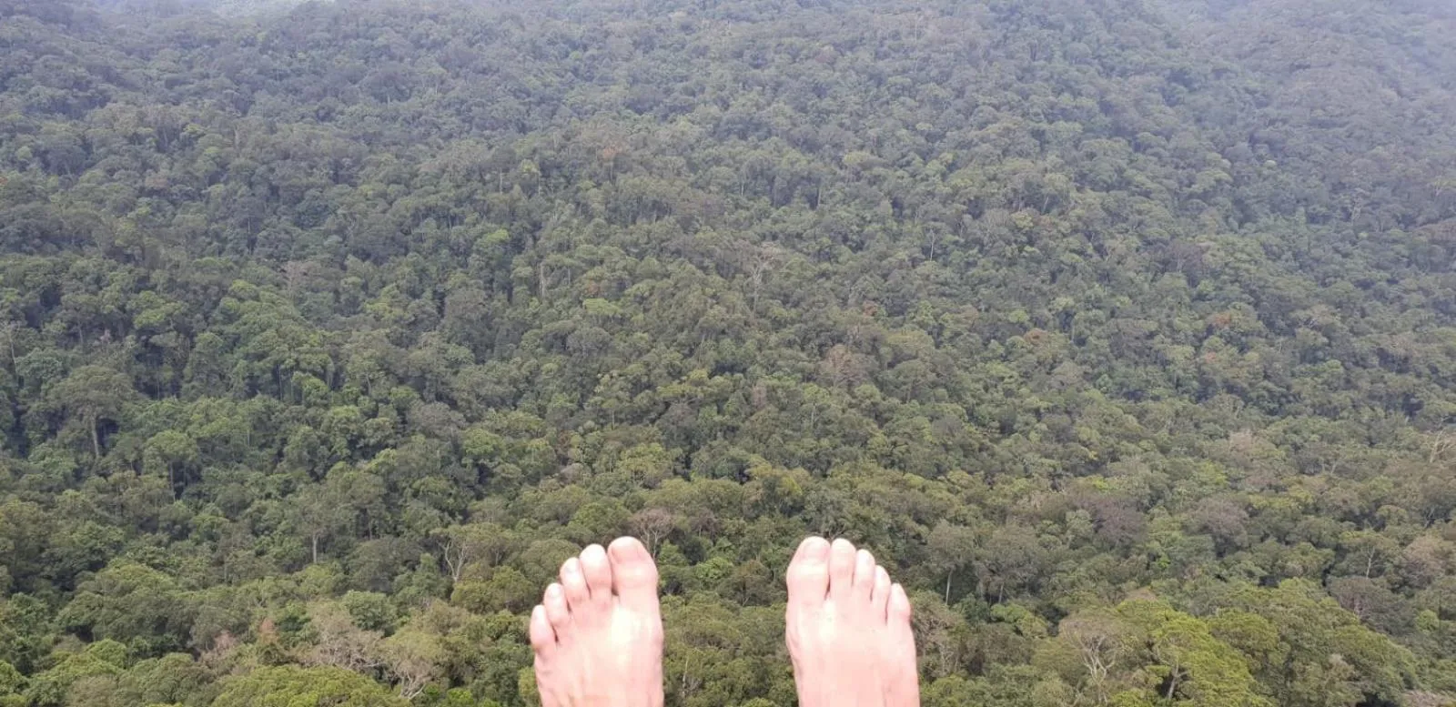 Sinharaja Forest Gate