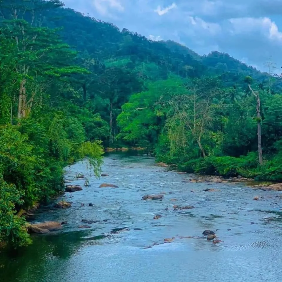 Sinharaja Forest Gate