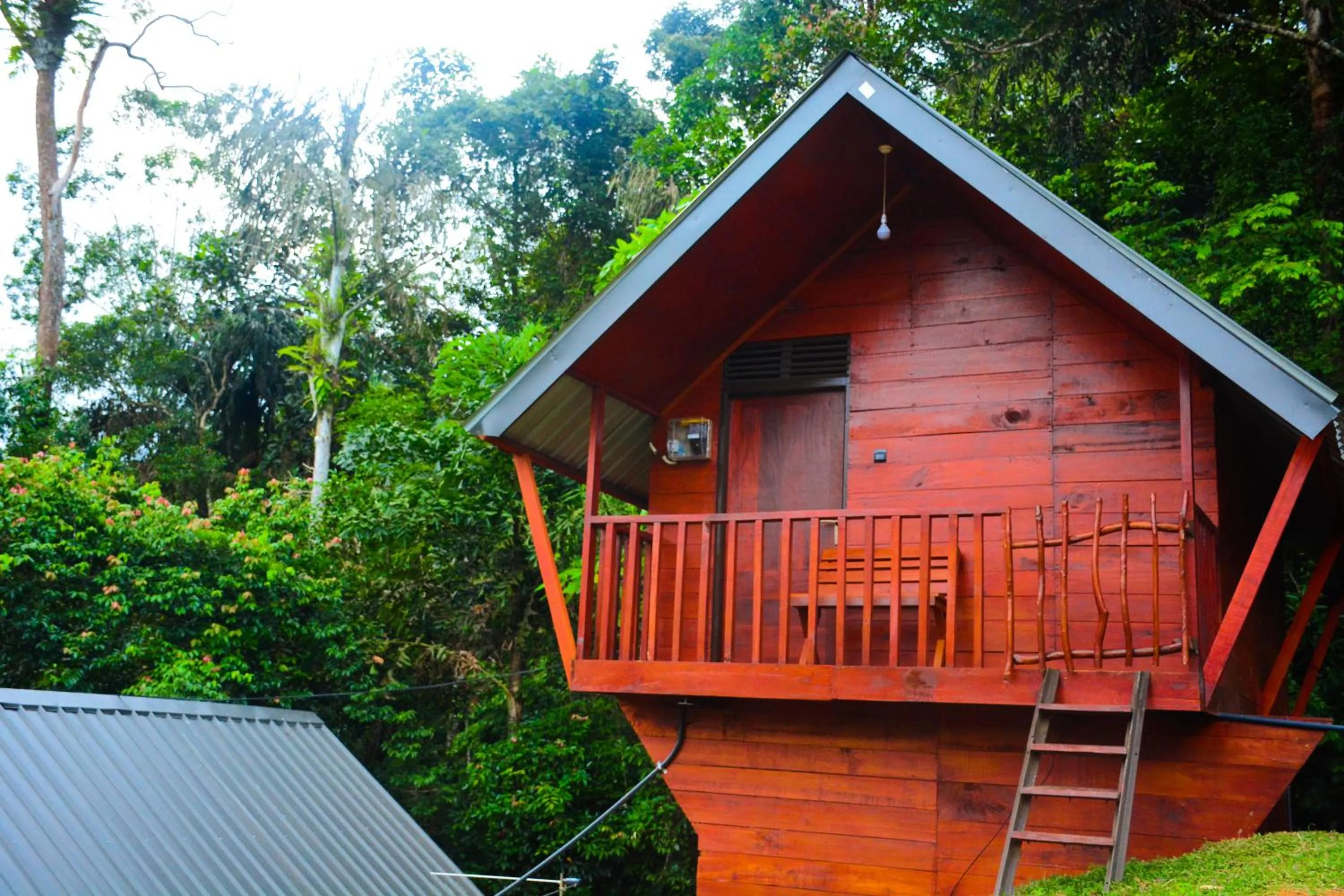 Sinharaja Forest Gate