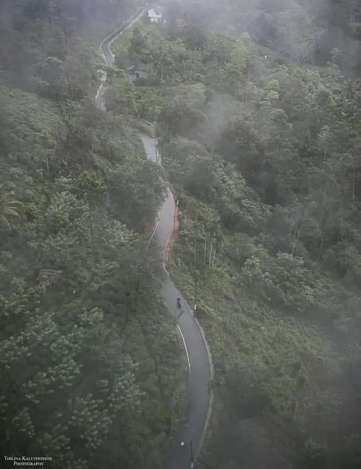 Sinharaja Forest Gate