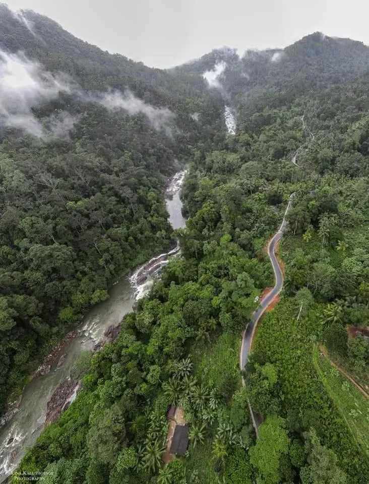 Sinharaja Forest Gate
