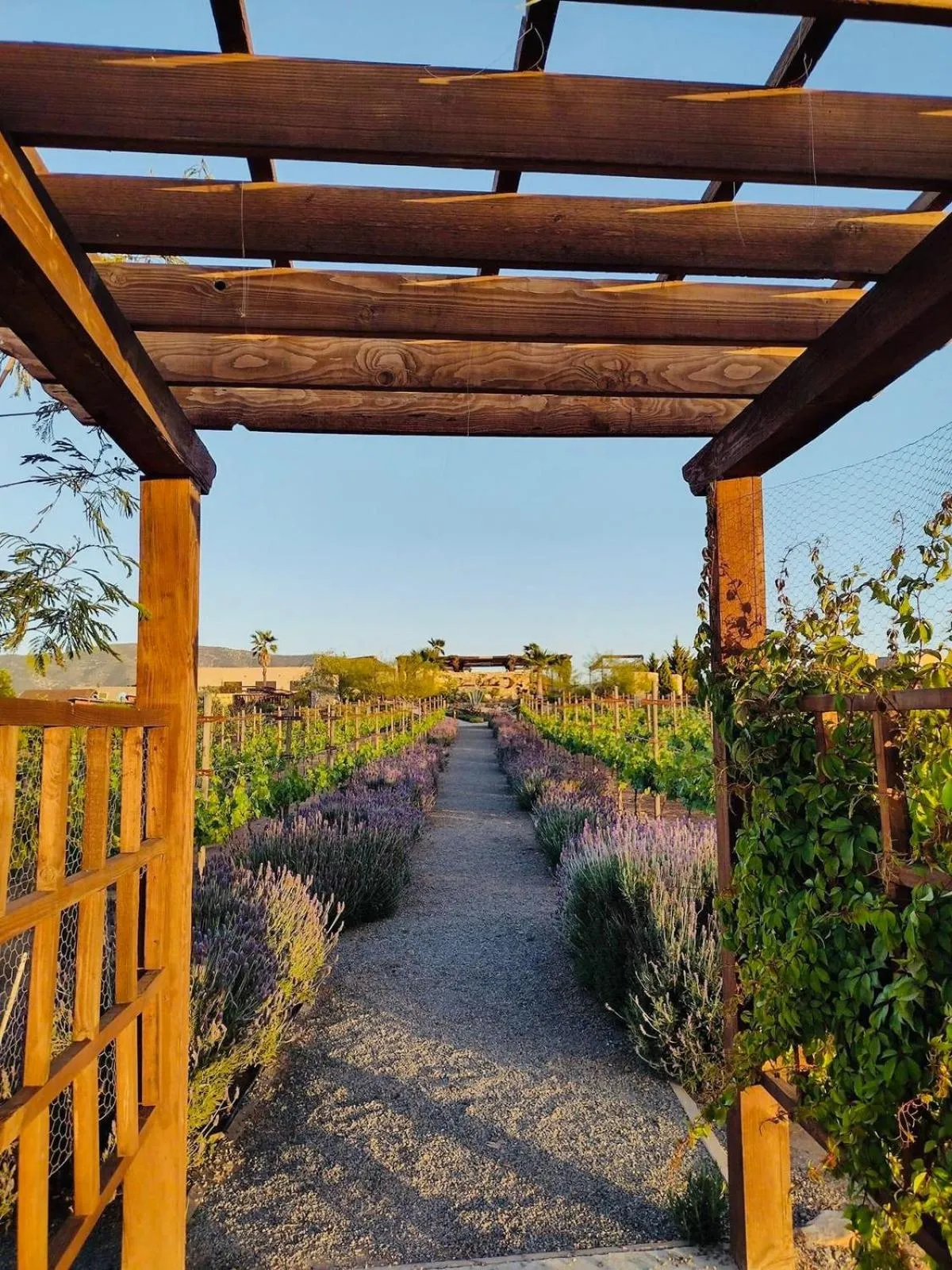 Garden in Luna Del Valle