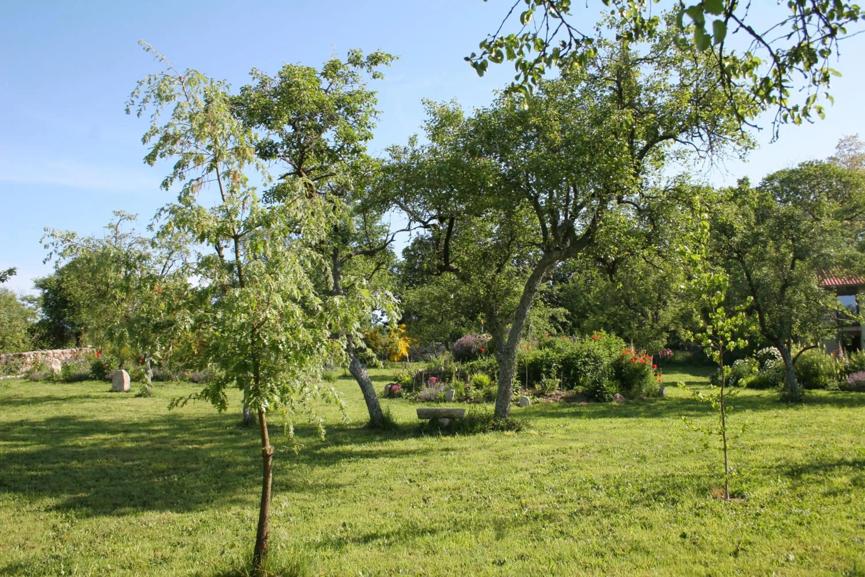 Garden in Pazo de Chaioso Ribeira Sacra