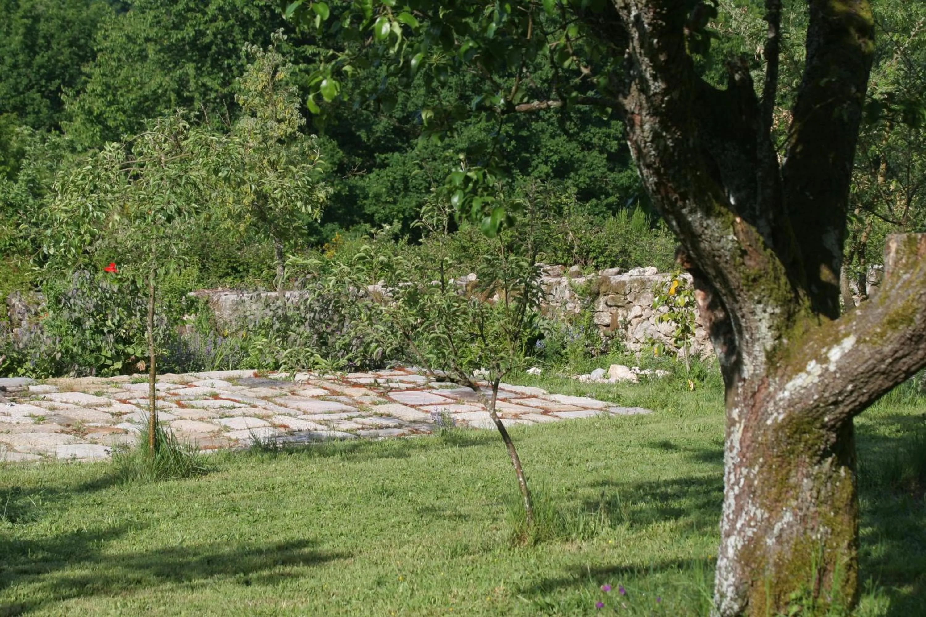 Garden in Pazo de Chaioso Ribeira Sacra