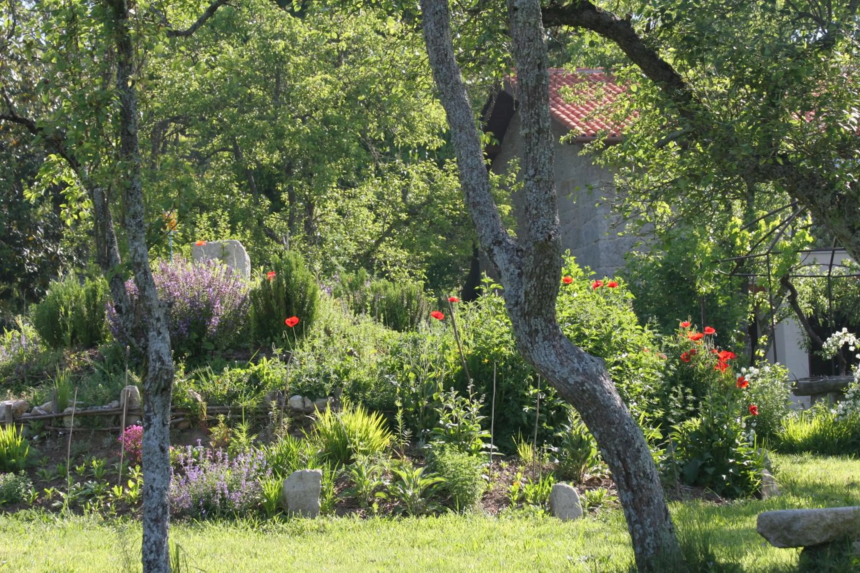 Garden in Pazo de Chaioso Ribeira Sacra
