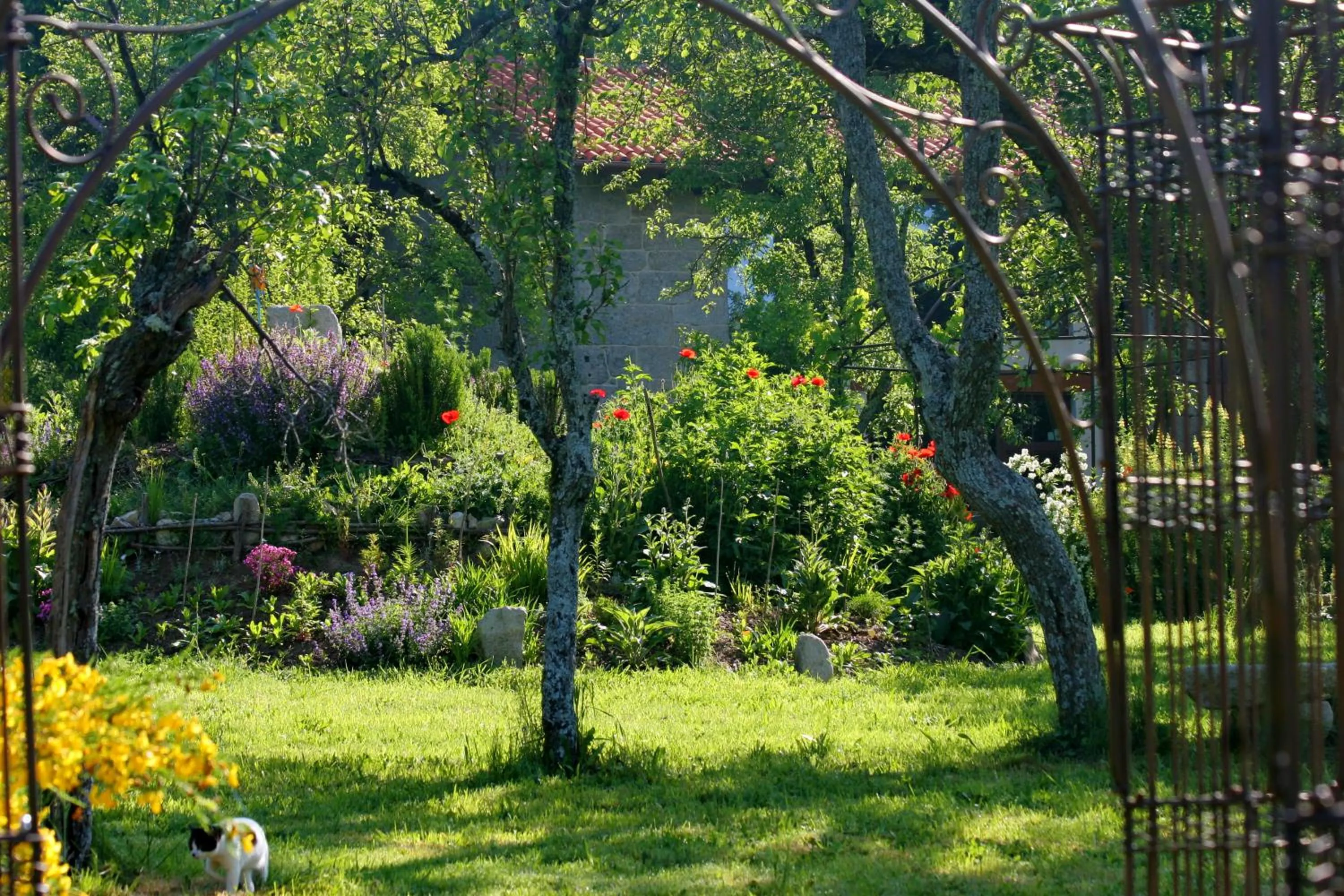 Garden in Pazo de Chaioso Ribeira Sacra