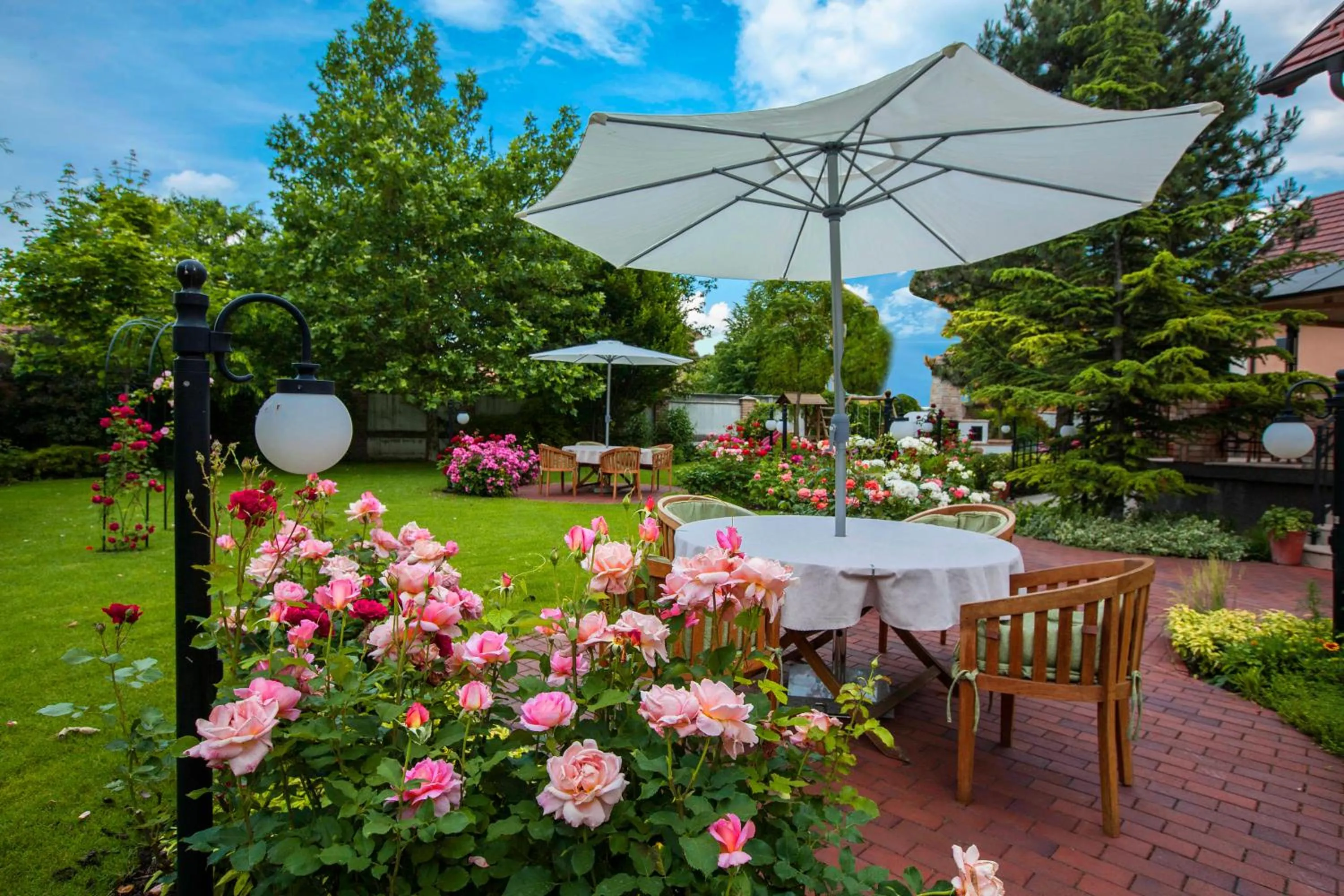 Garden in Villa Rosa