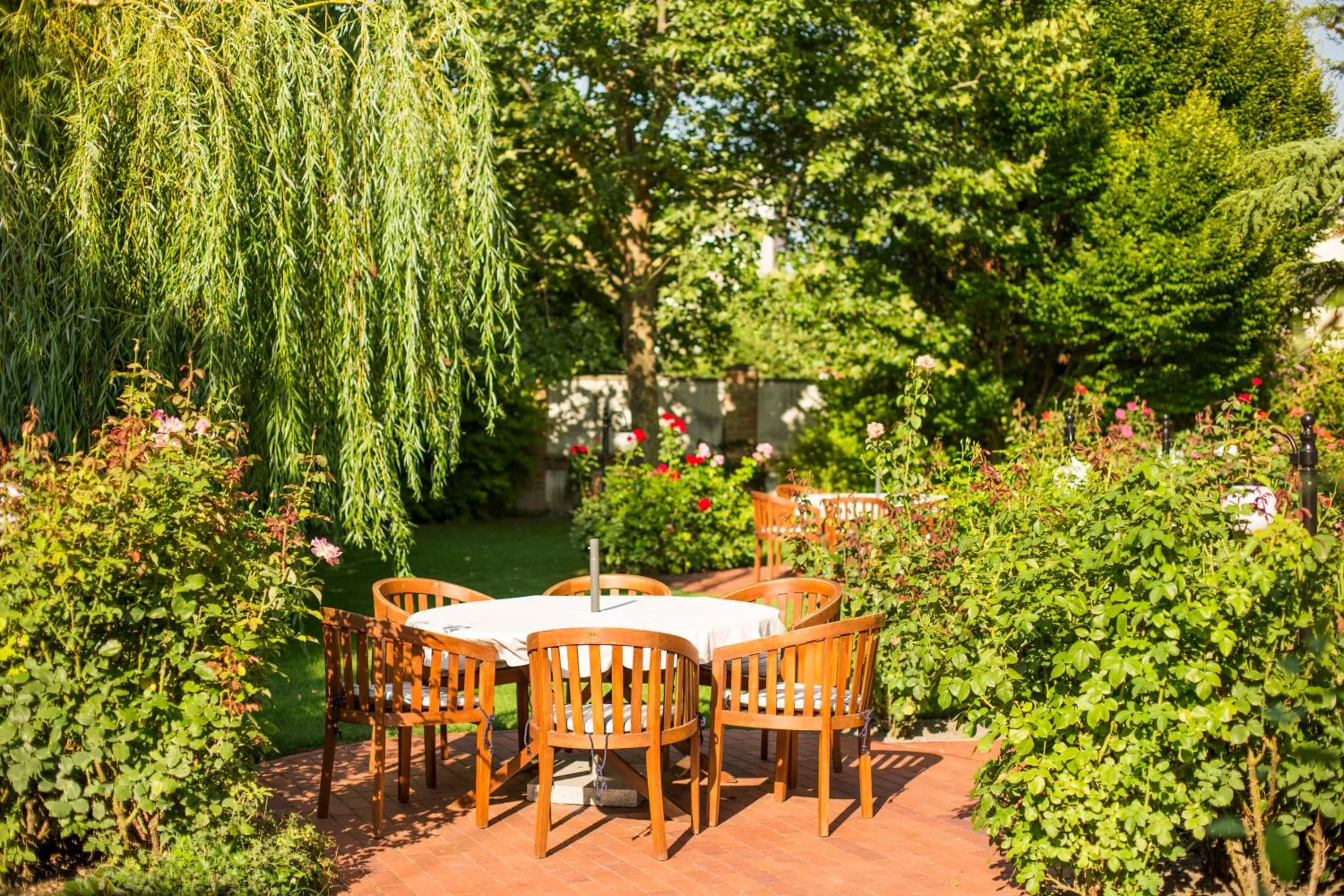 Garden in Villa Rosa