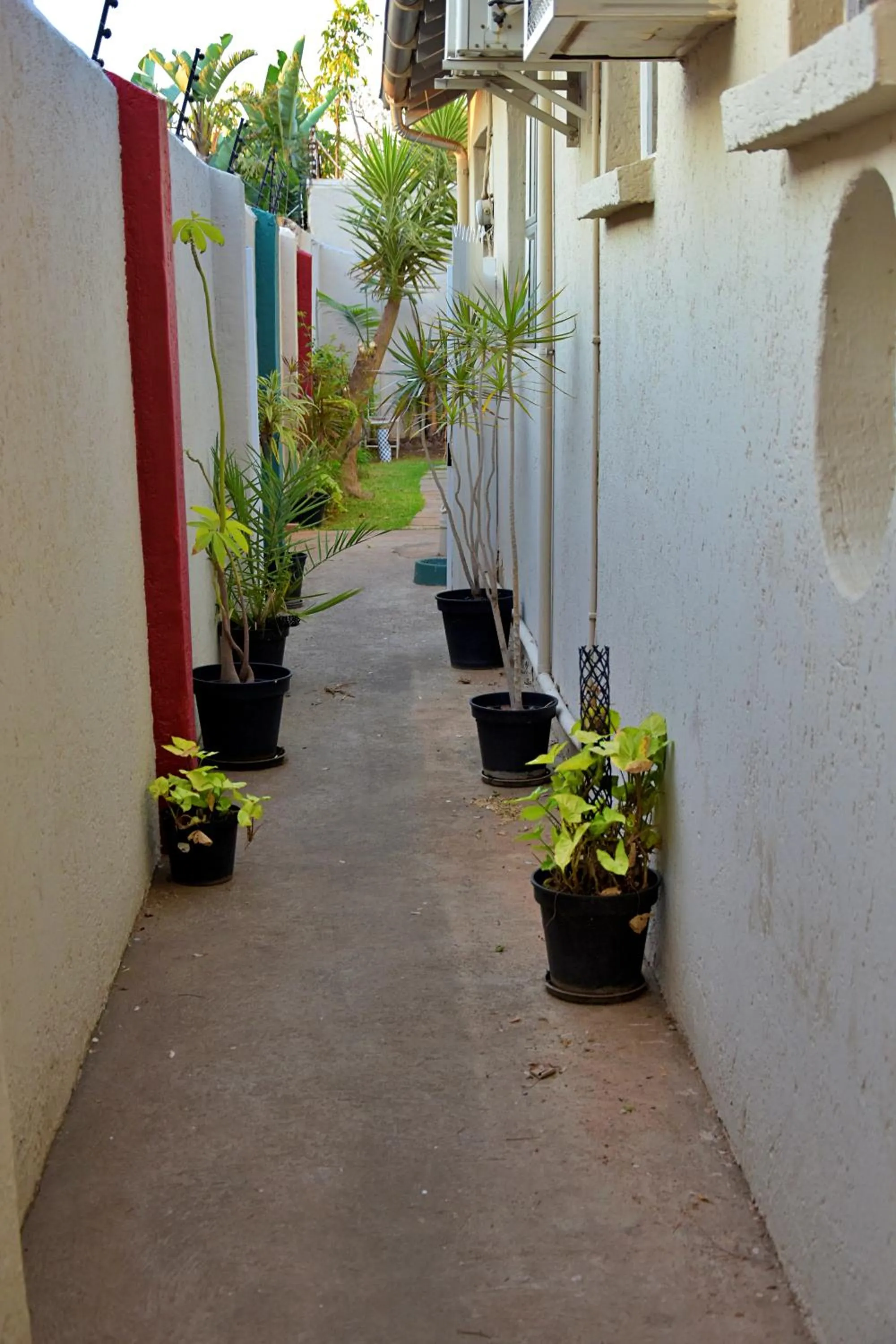 Garden in Houghton Guest House