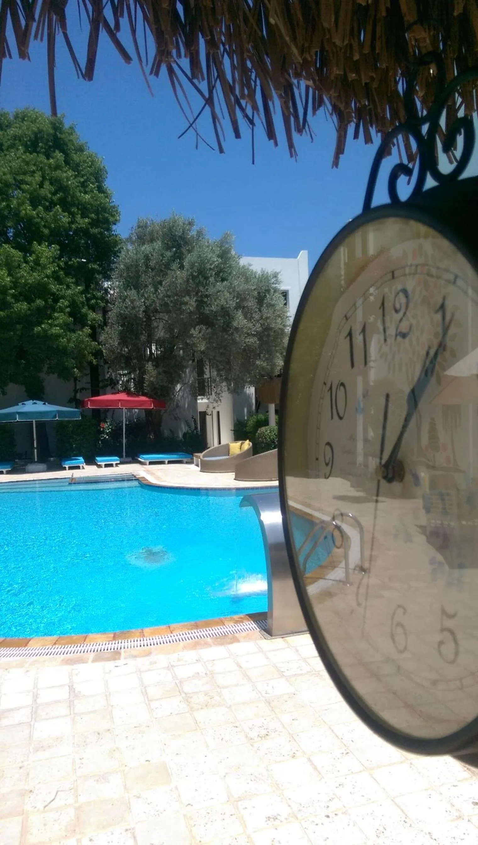 Swimming pool in ece "vegan"hotel Bodrum