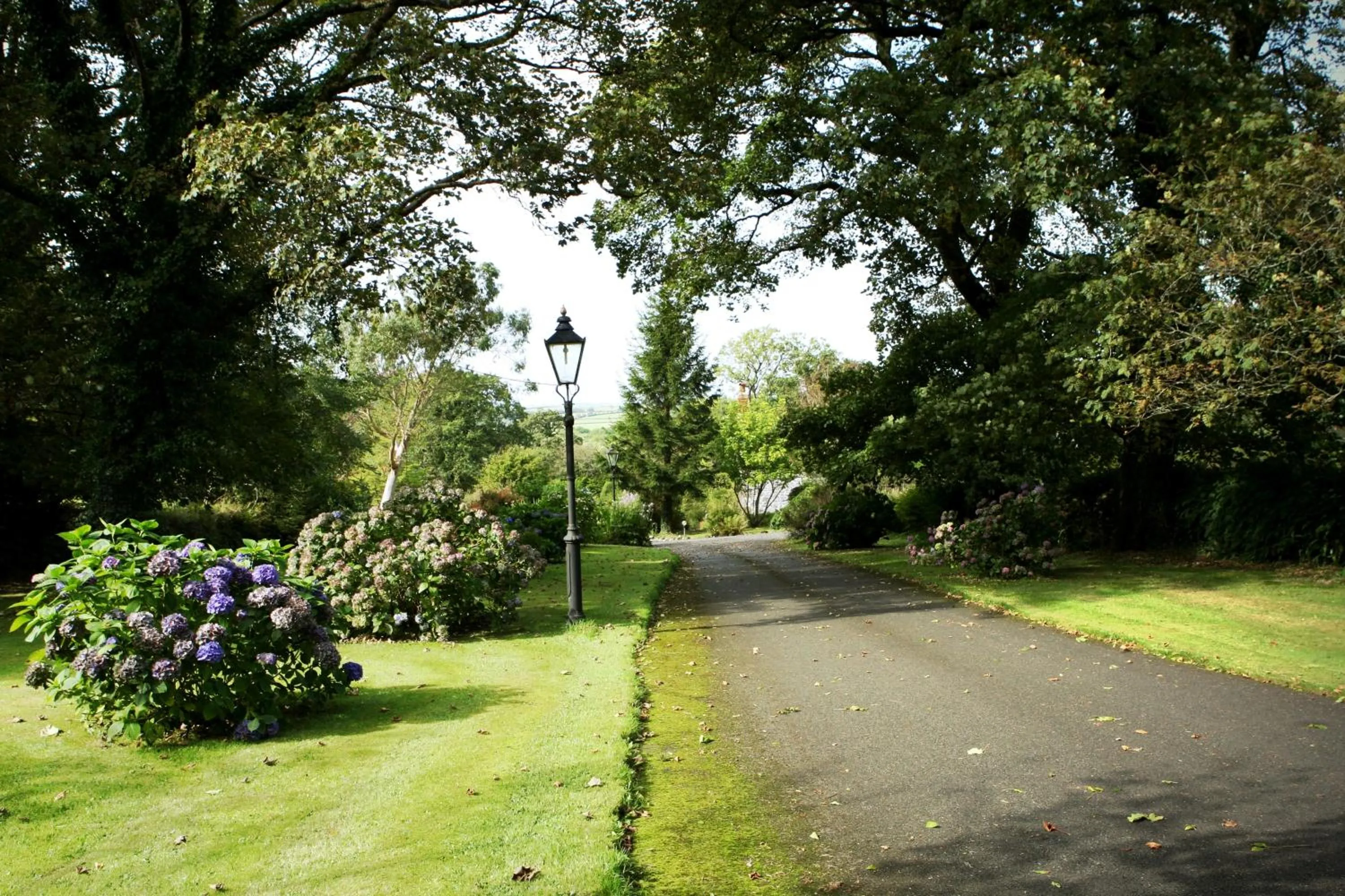 Facade/entrance in Collaven Manor