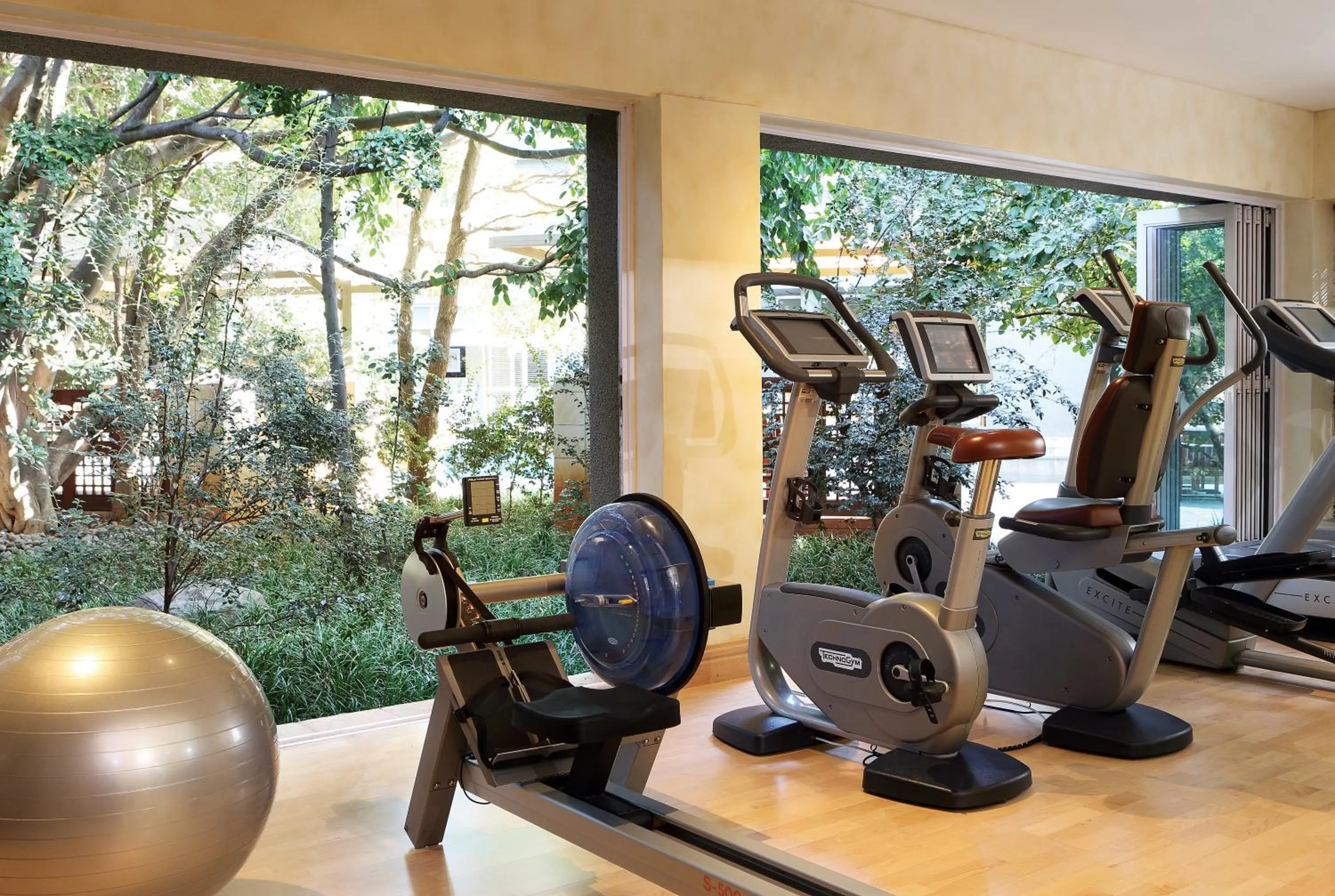 Fitness centre/facilities in Saxon Hotel, Villas & Spa