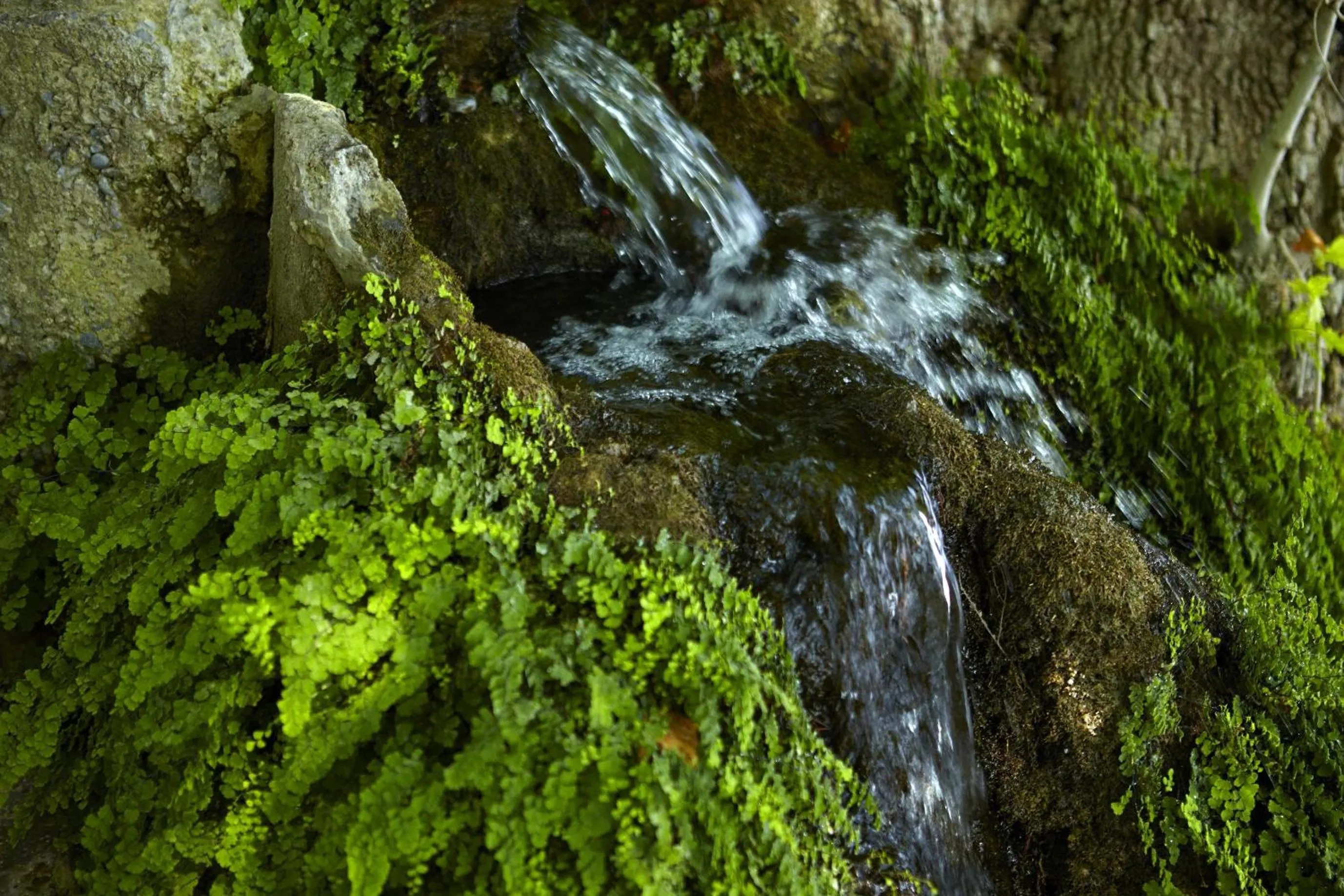 Other in Hotel Alkyonis