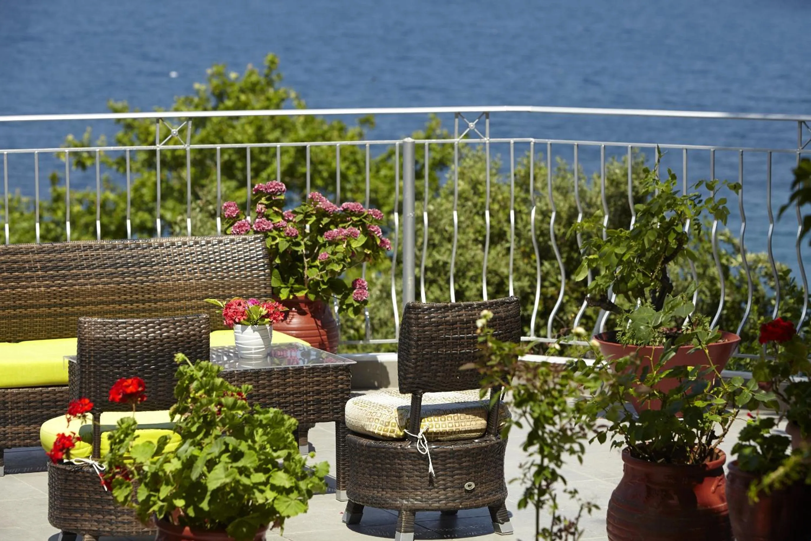 Balcony/Terrace in Hotel Alkyonis