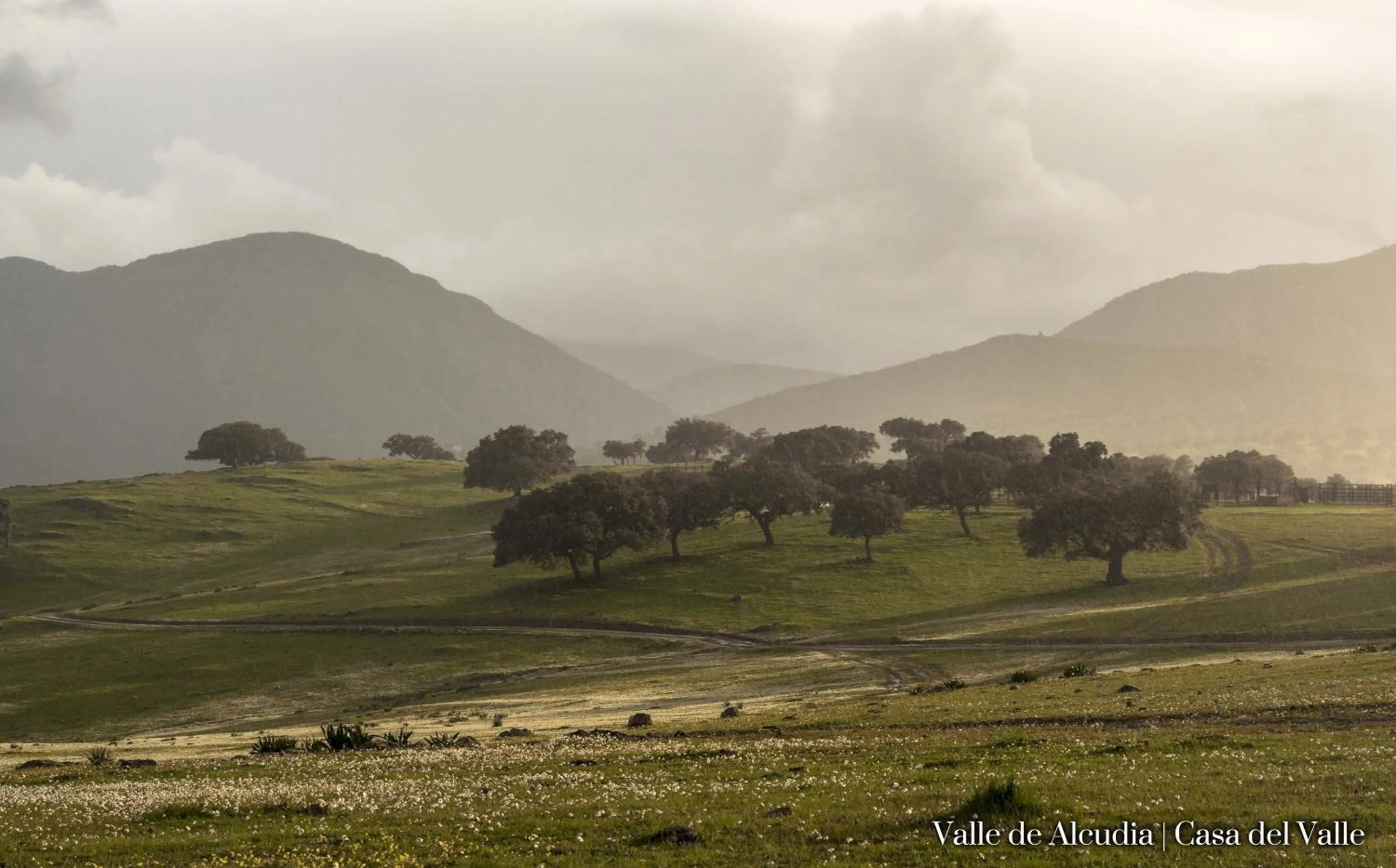 Natural landscape in Casa del Valle, Lodges