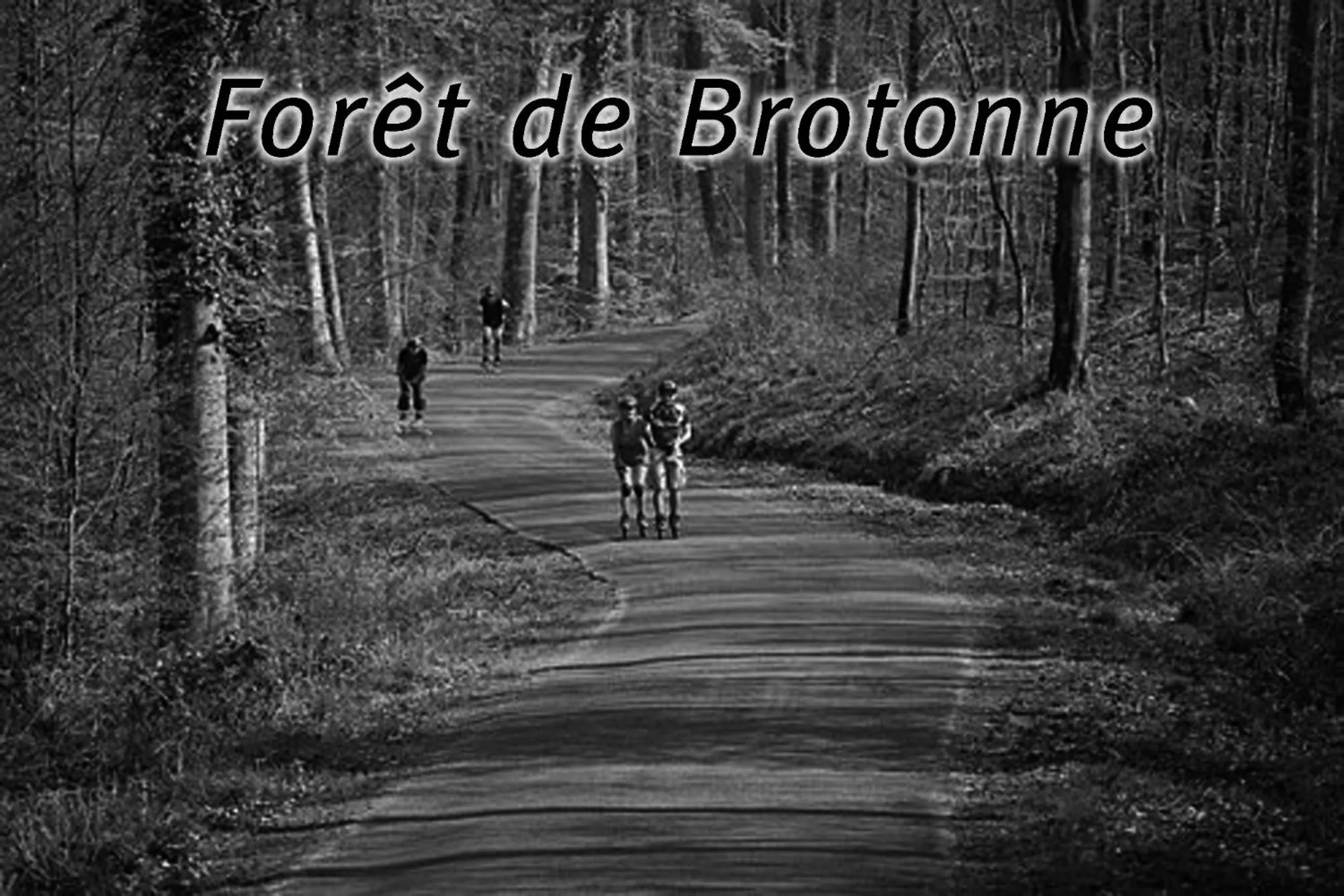 Studio duplex L'Ecole Buissonnière