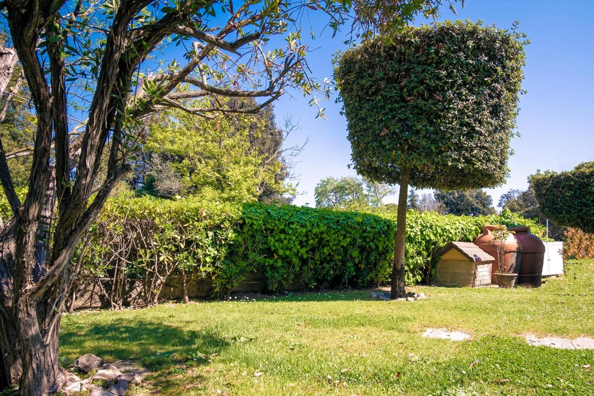 Beverly Park Residence