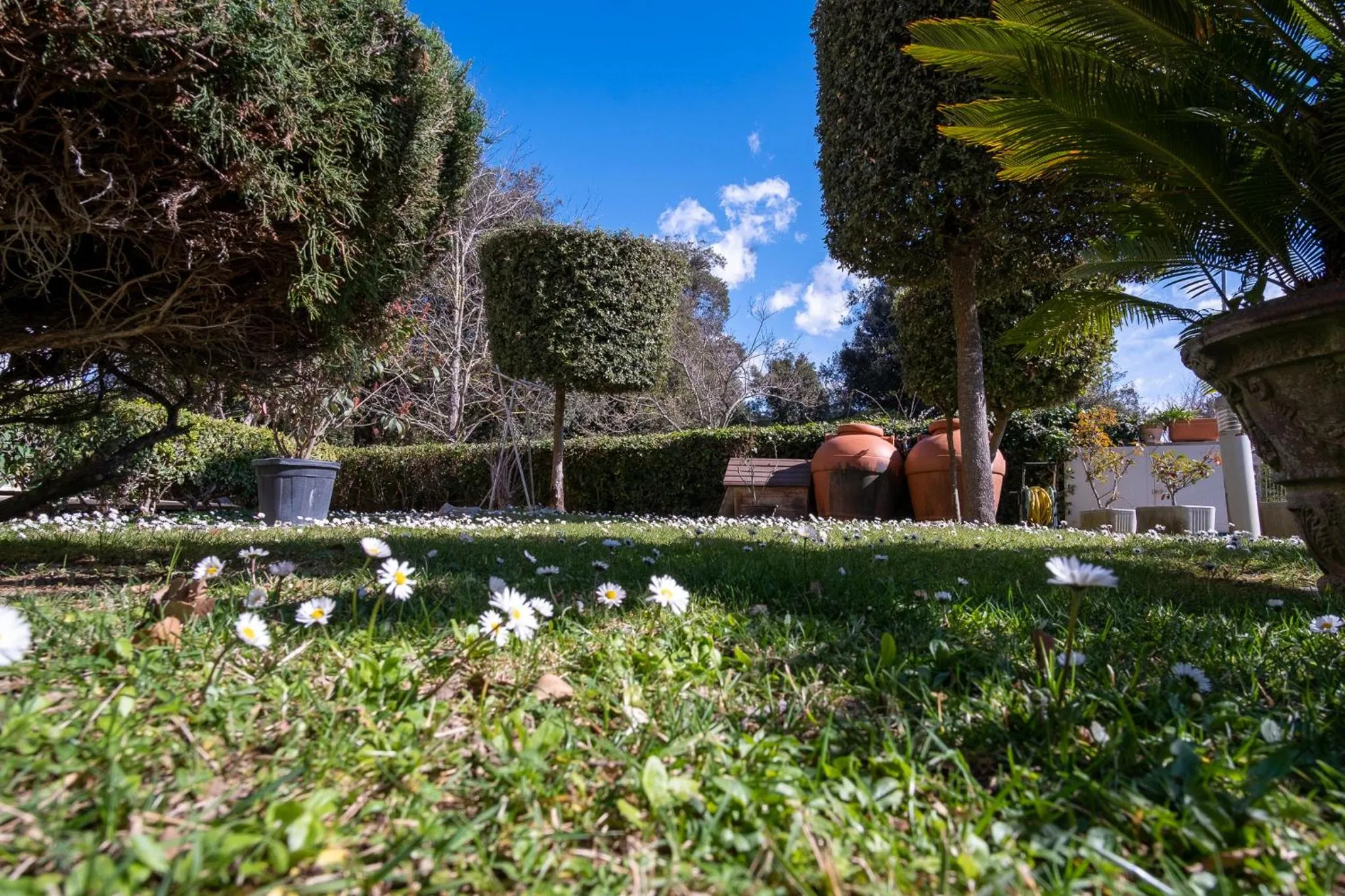 Beverly Park Residence