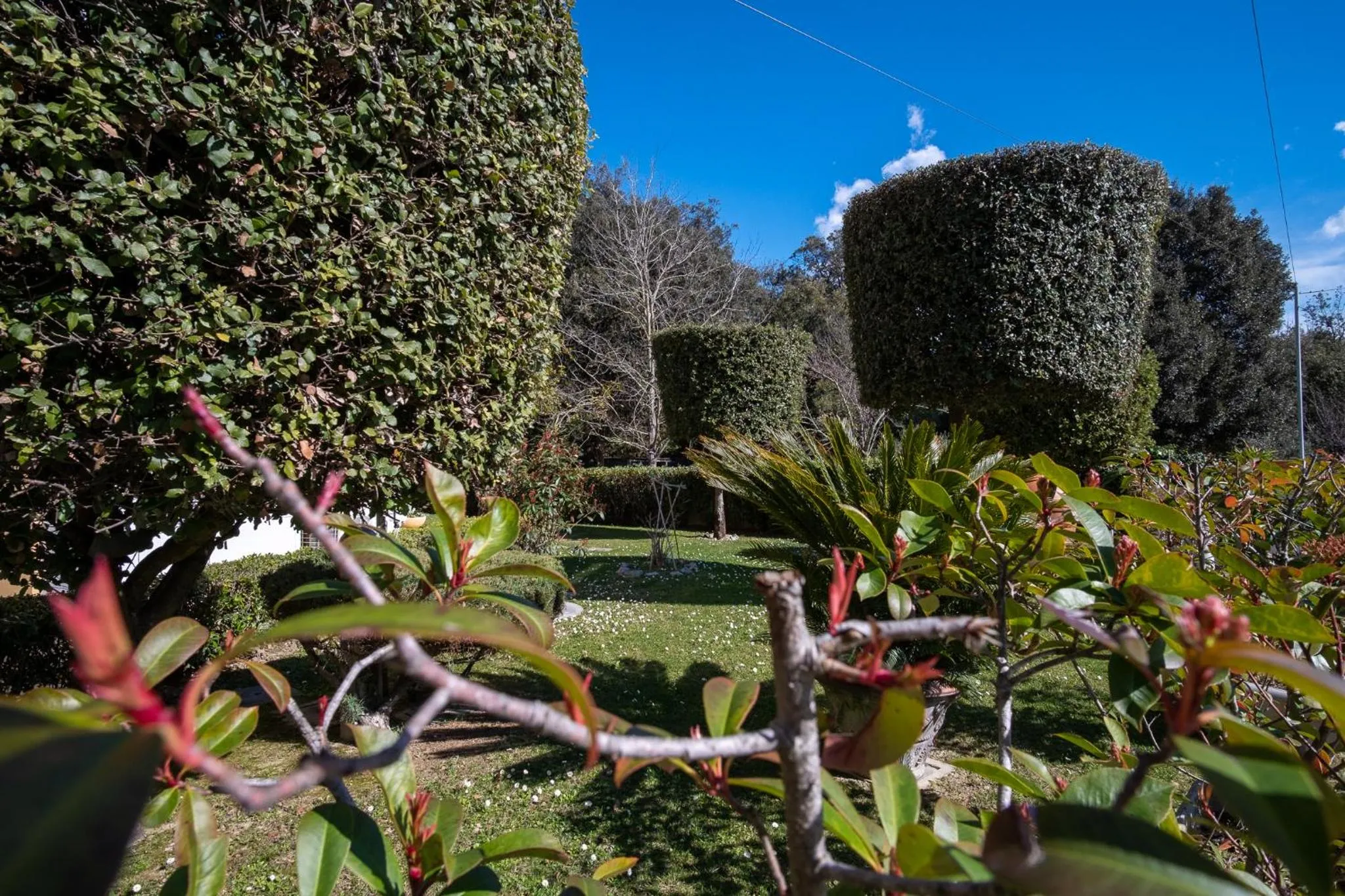 Beverly Park Residence