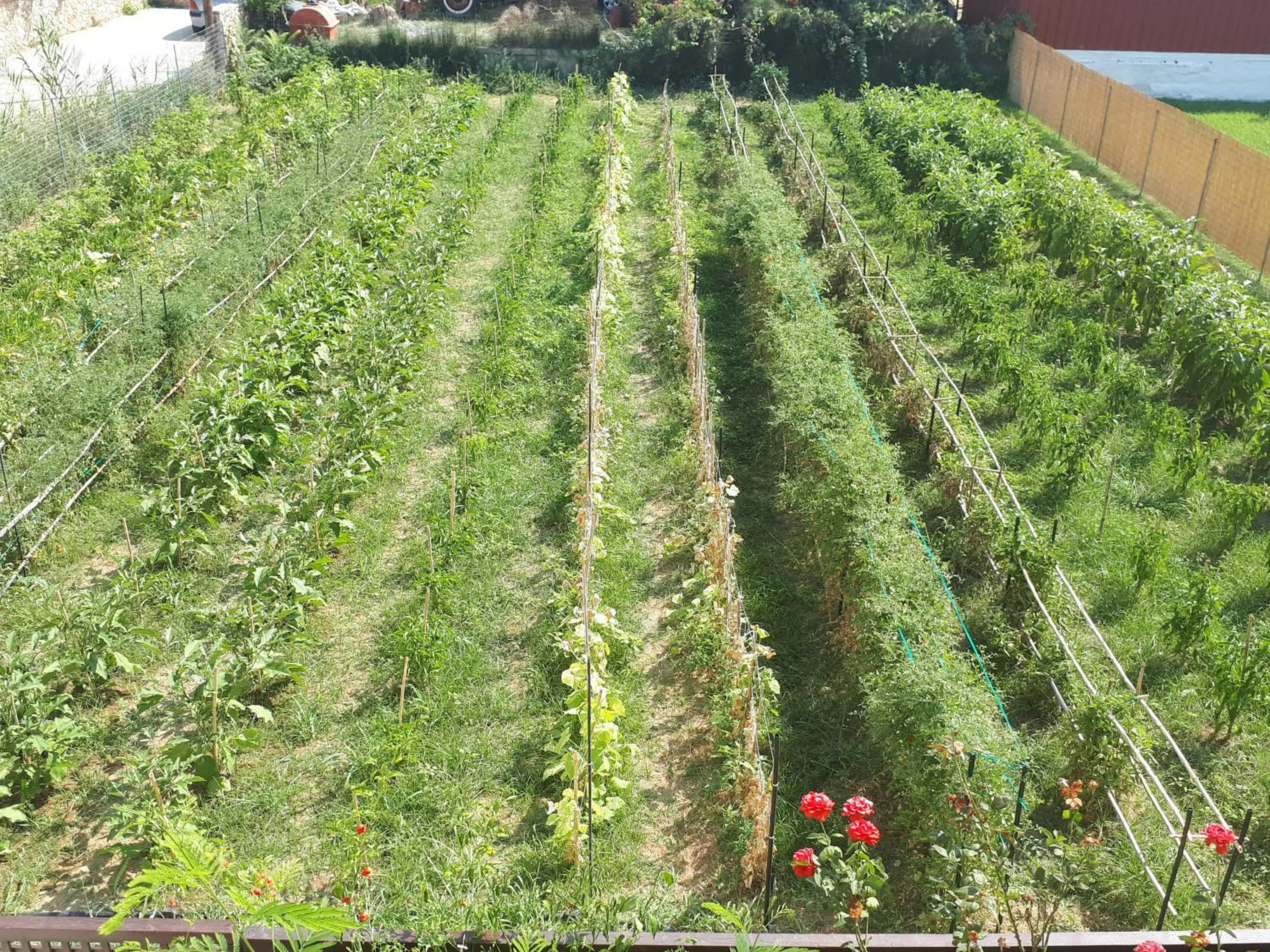 Garden in Maleme Mare