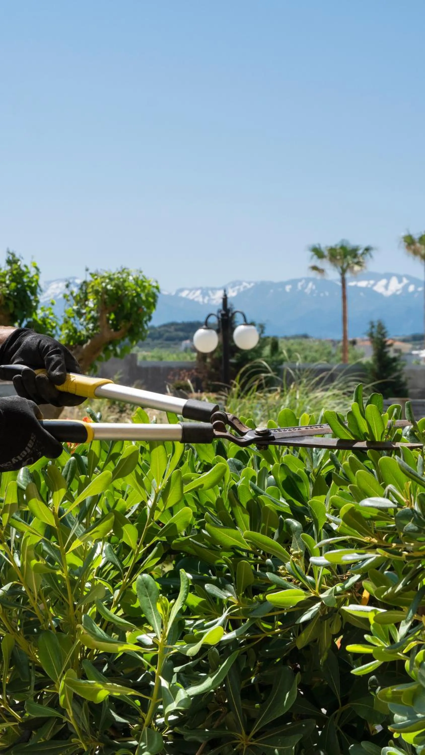 Natural landscape in Maleme Mare