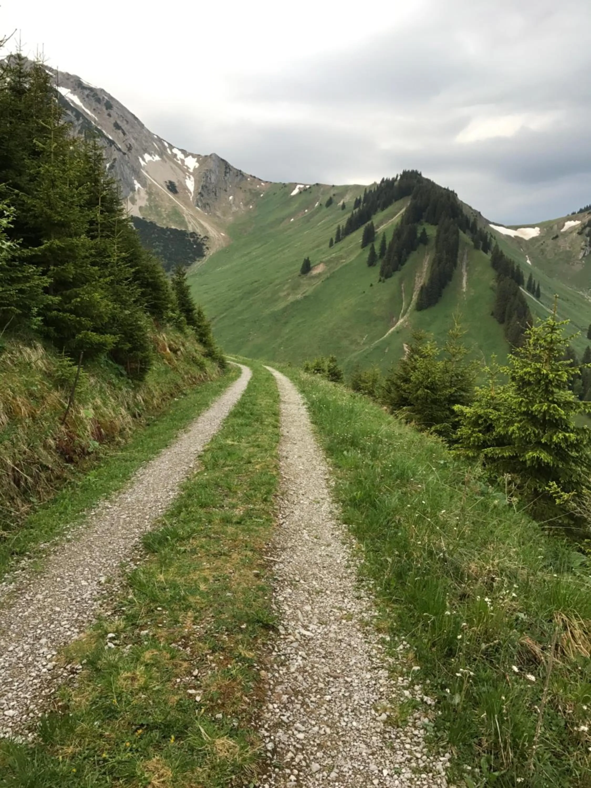 Cycling in Hotel Alpenrose
