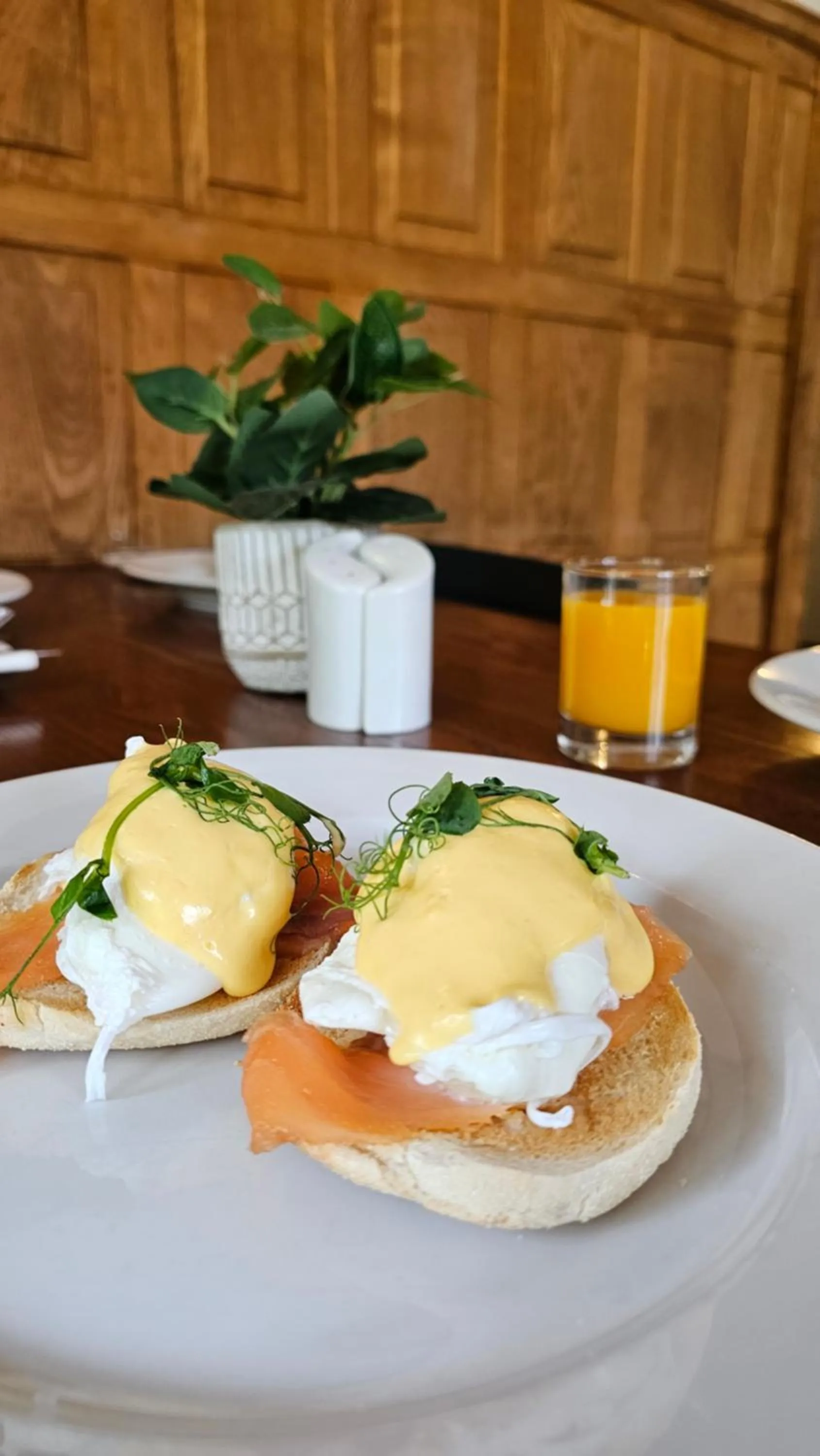 Breakfast in Lakeview Manor
