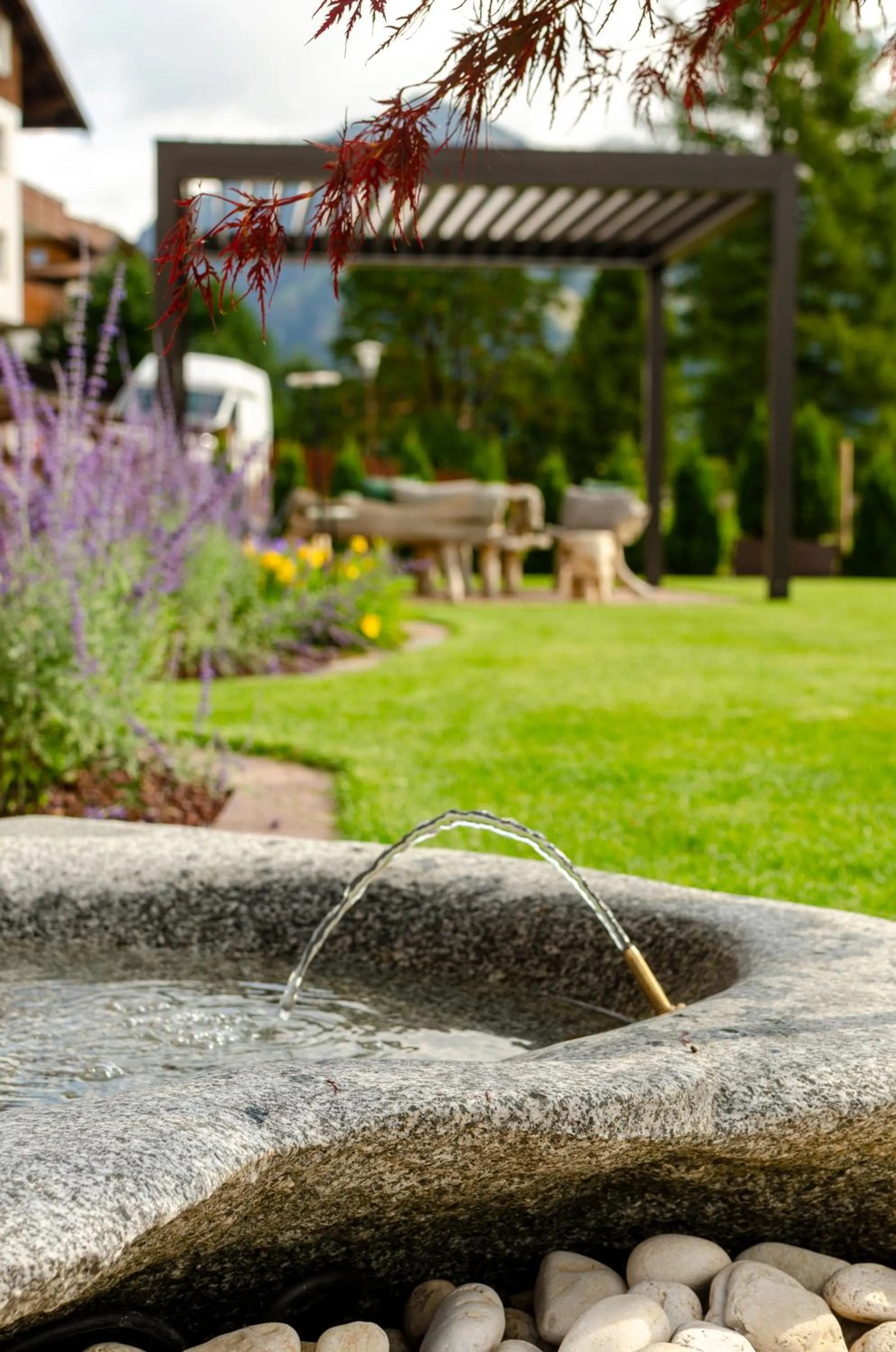 Garden in Mason La Zondra