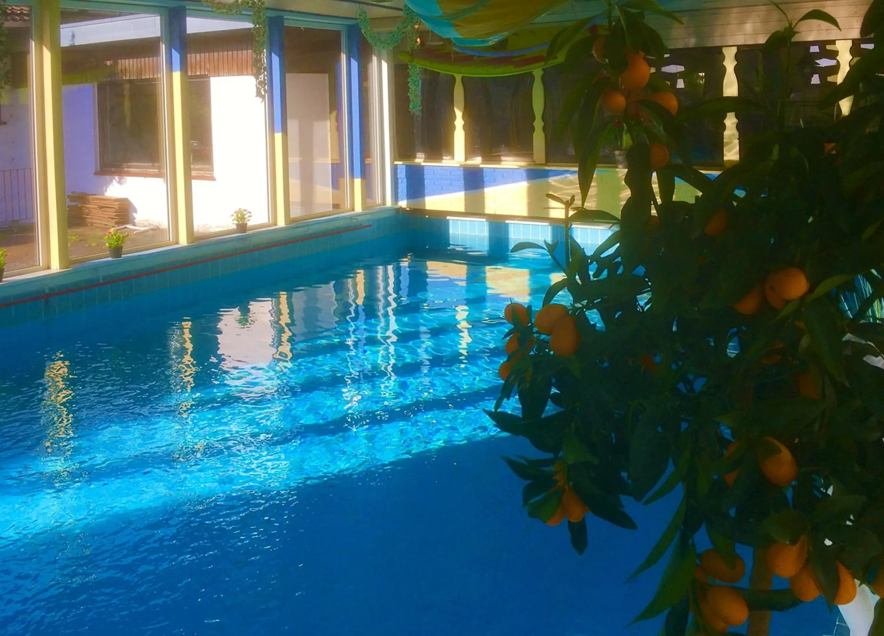 Pool view in Hotel Hoxter Am Jakobsweg