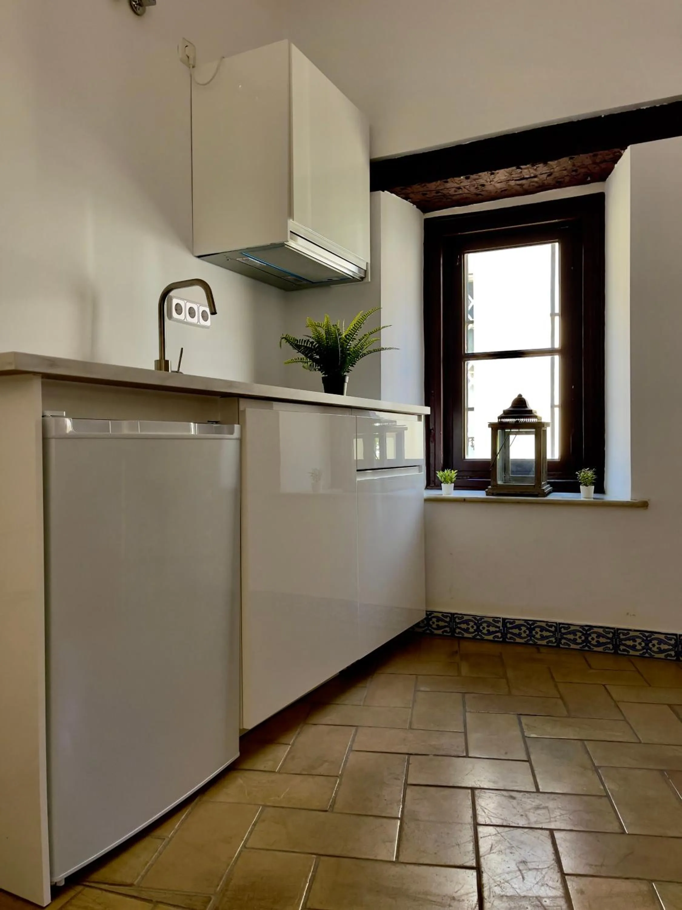 kitchen in Apartamentos Boutique Vida