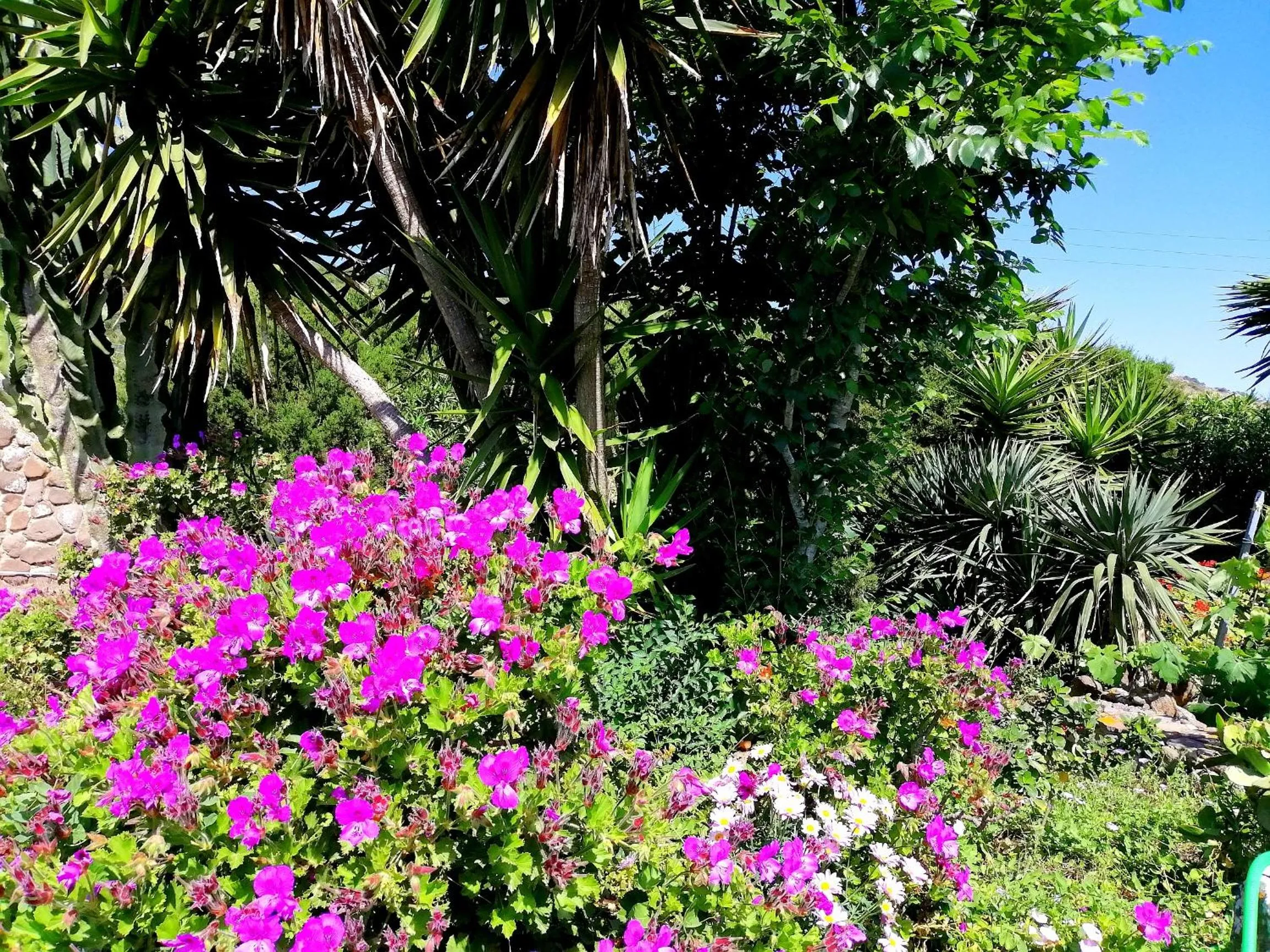 Garden in B&B Glamping Semaforo Capo Sperone