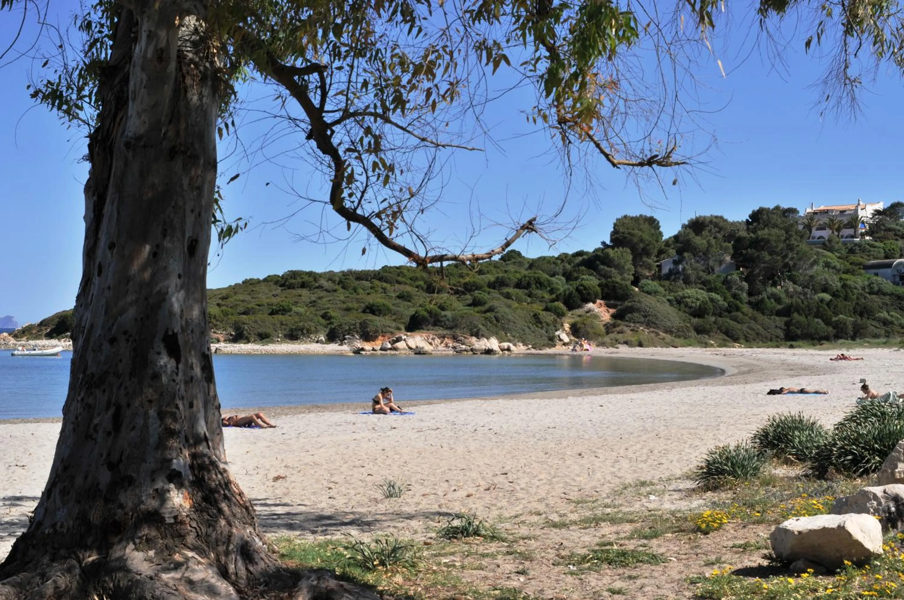 Beach in B&B Glamping Semaforo Capo Sperone