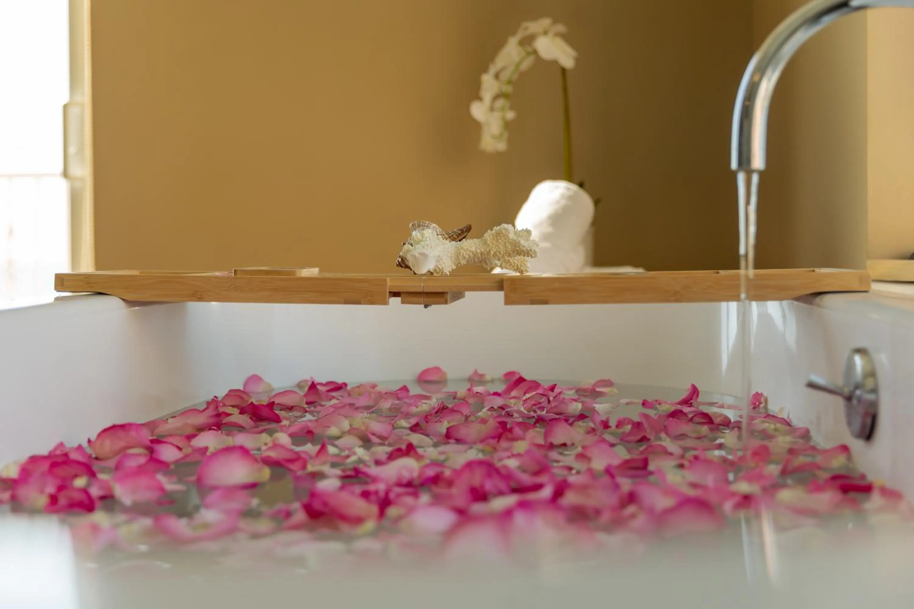 Spa and wellness centre/facilities in The Don CeSar