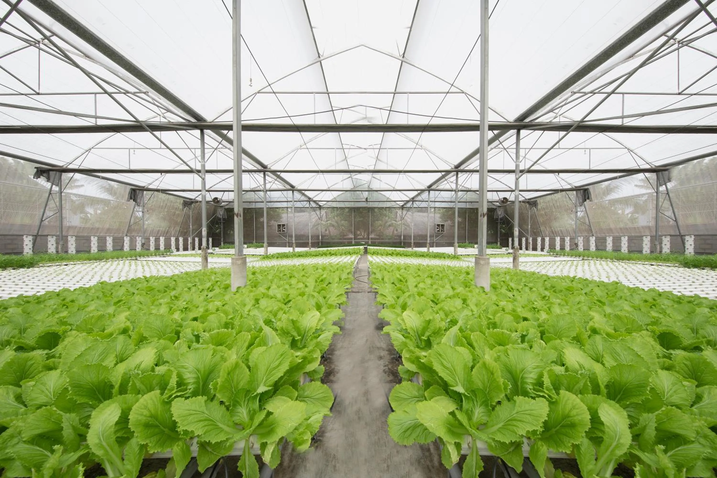 Other in Phuong Nam Resort