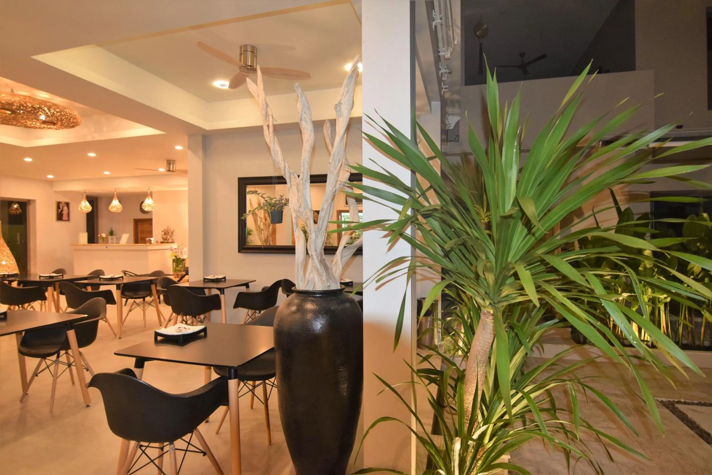 Area and facilities in AMAYA Resort