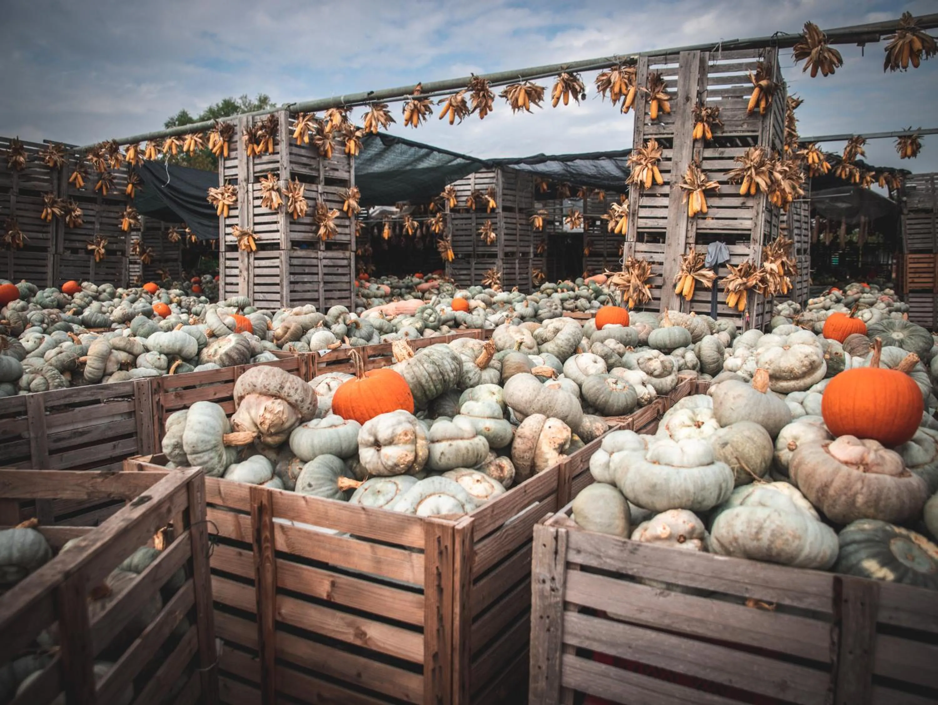 Shopping Area in A casa mia
