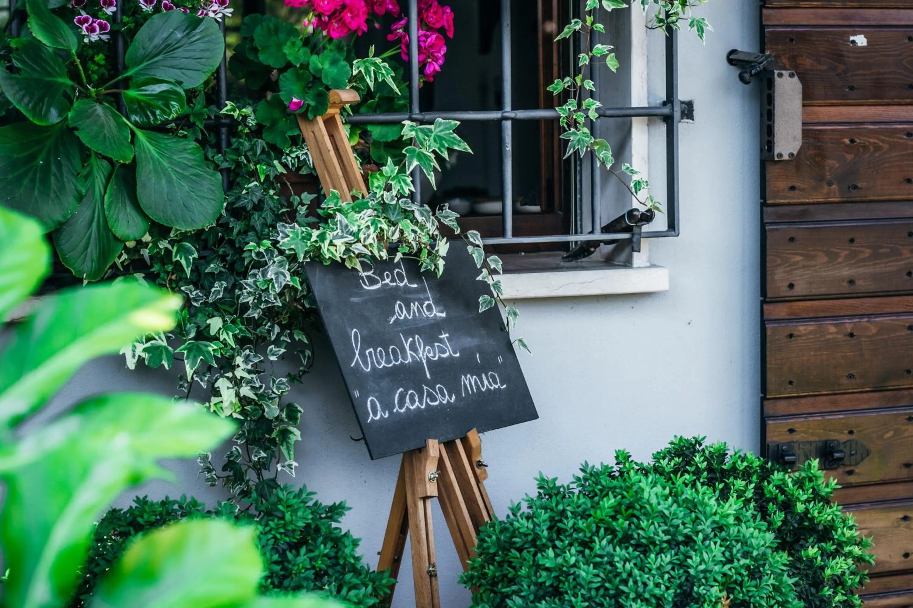 Garden view in A casa mia