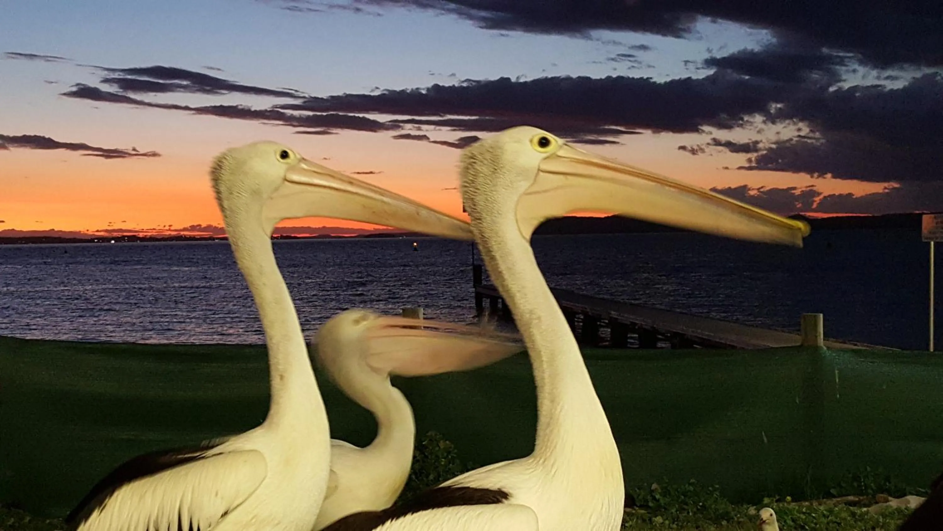 Decorative detail in Admiral Nelson Motor Inn