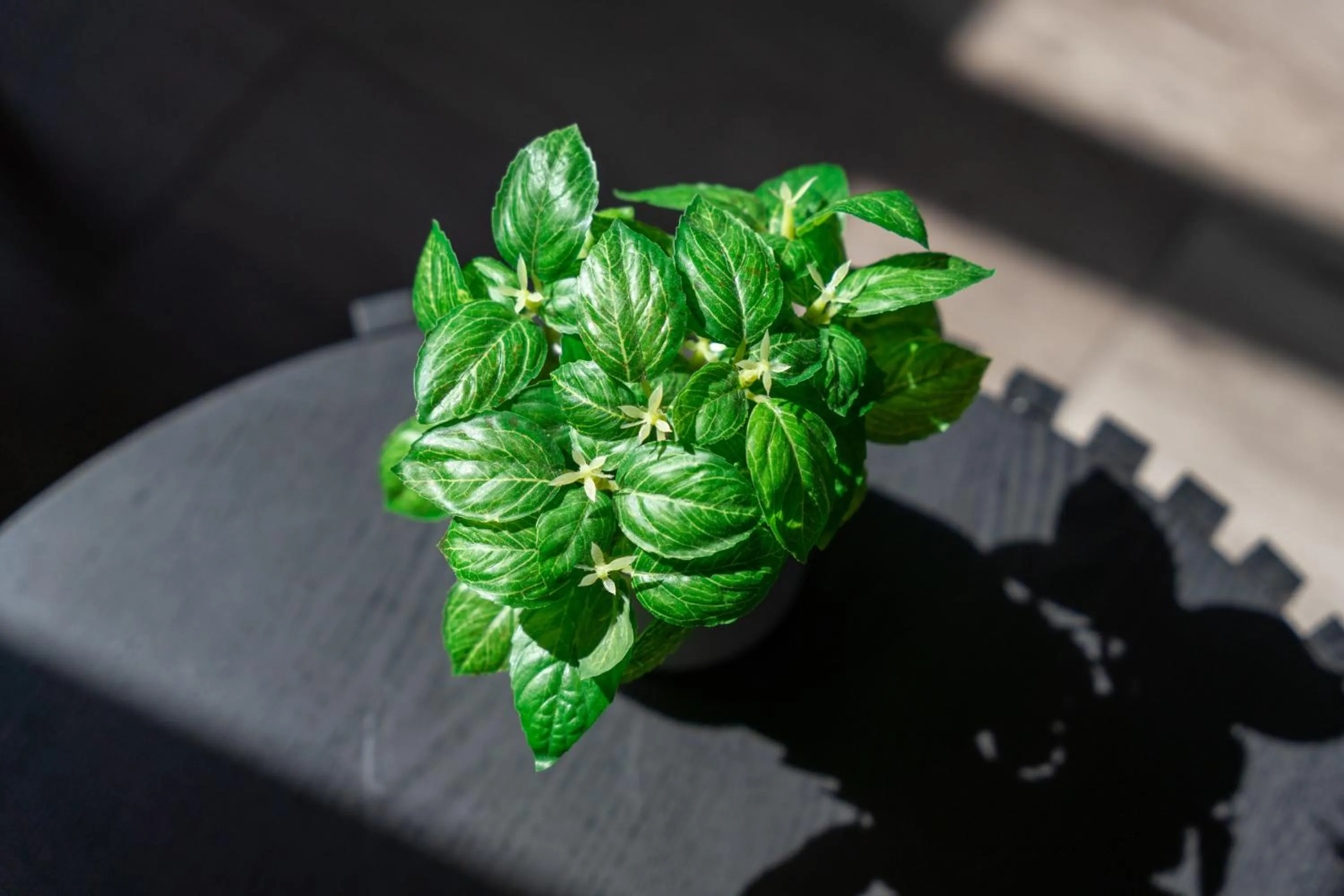 Decorative detail in Bankstown Motel 10